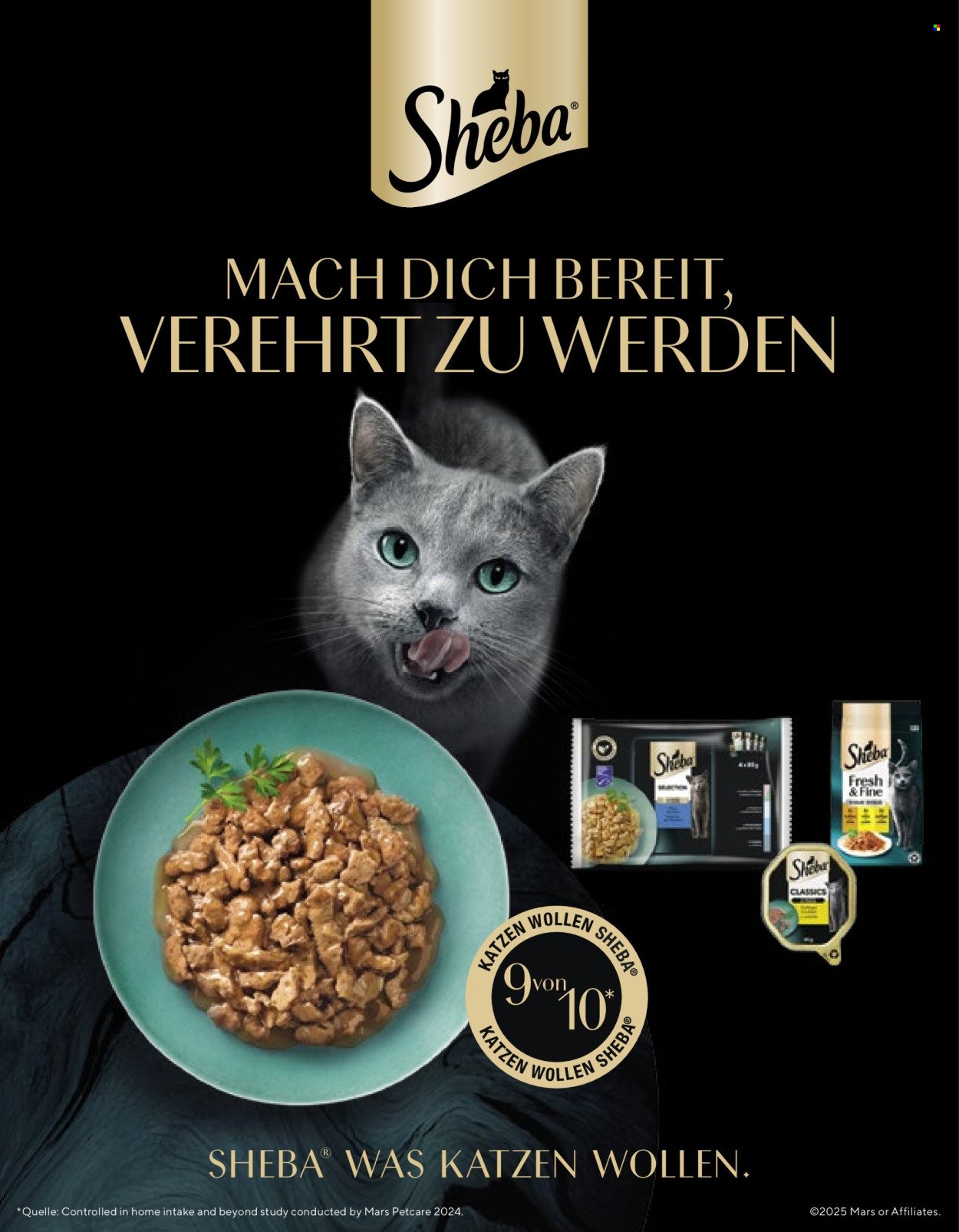 VOLG Prospekt - Vom 1.1.2026 (2026-01-01 - 2026-01-31)