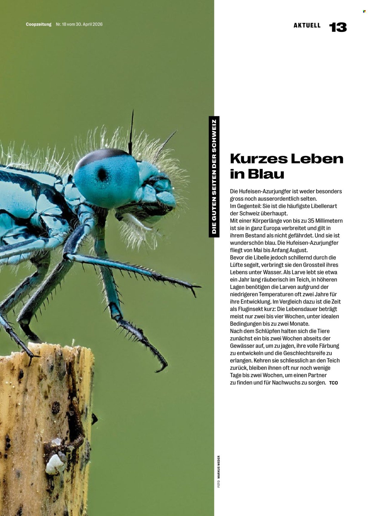 COOP Prospekt - COOPZEITUNG (2026-04-30 - 2026-05-06)