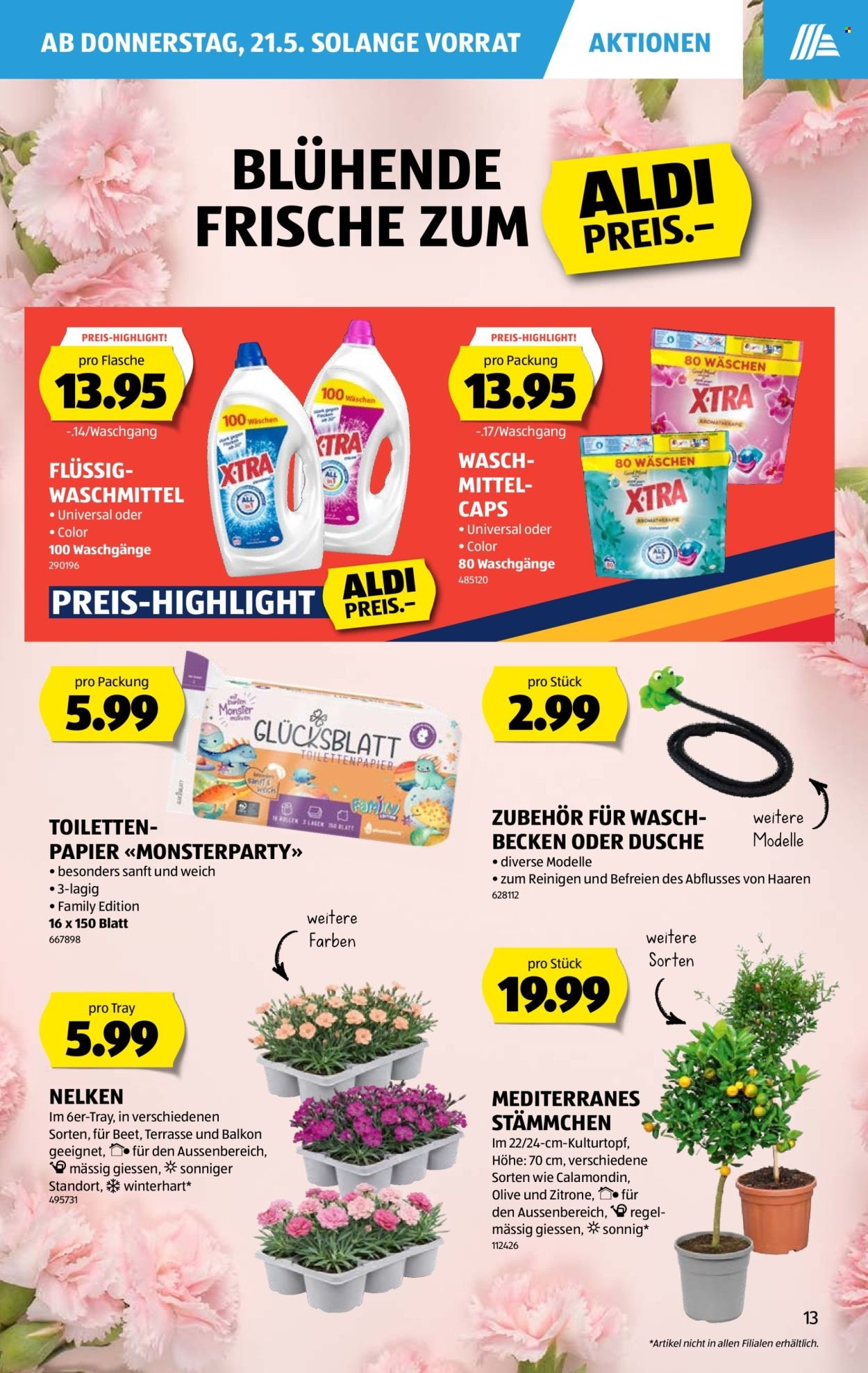 ALDI Prospekt - Vom 21.5.2026 (2026-05-21 - 2026-05-27) | 13