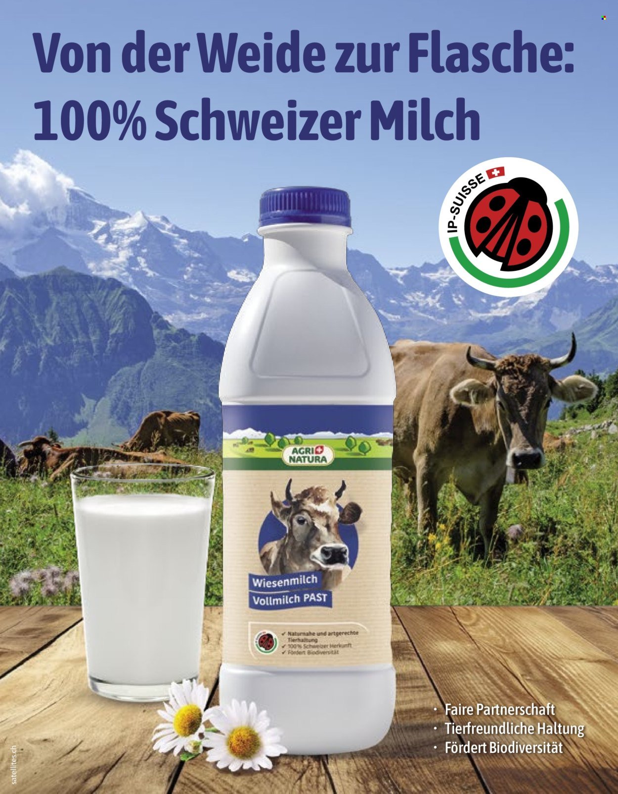 VOLG Prospekt - Vom 1.12.2025 (2025-12-01 - 2025-12-31) | 4