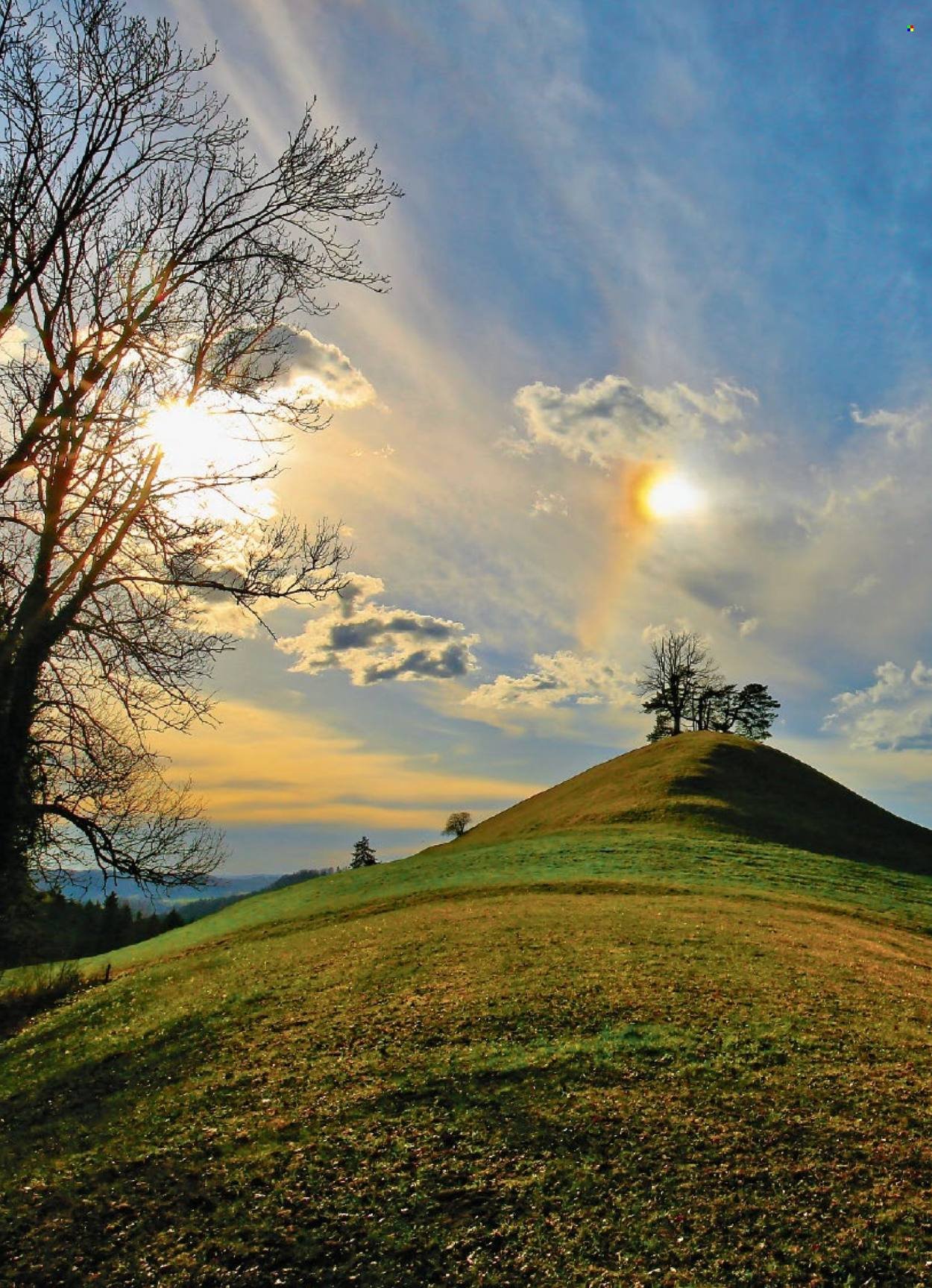 COOP Prospekt - COOPZEITUNG (2026-03-19 - 2026-03-25)
