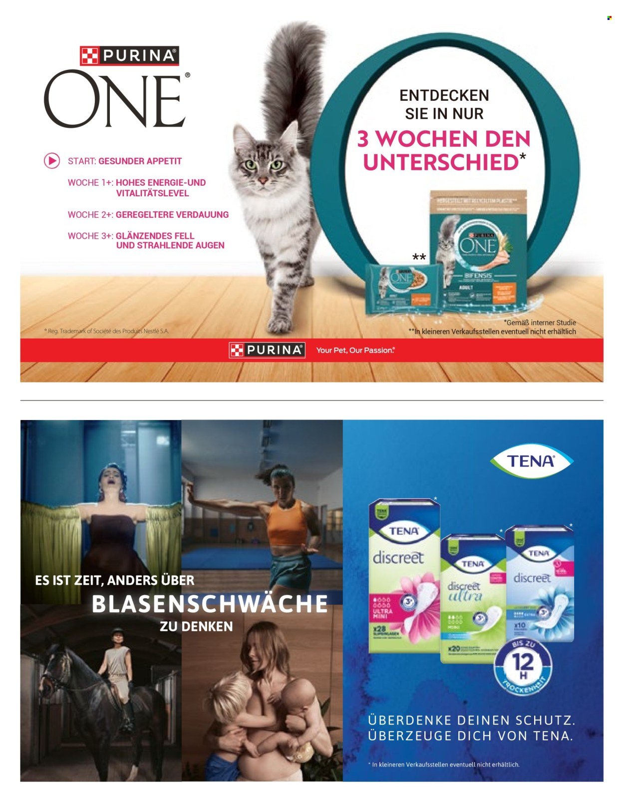 VOLG Prospekt - Vom 1.10.2025 (2025-10-01 - 2025-10-31)