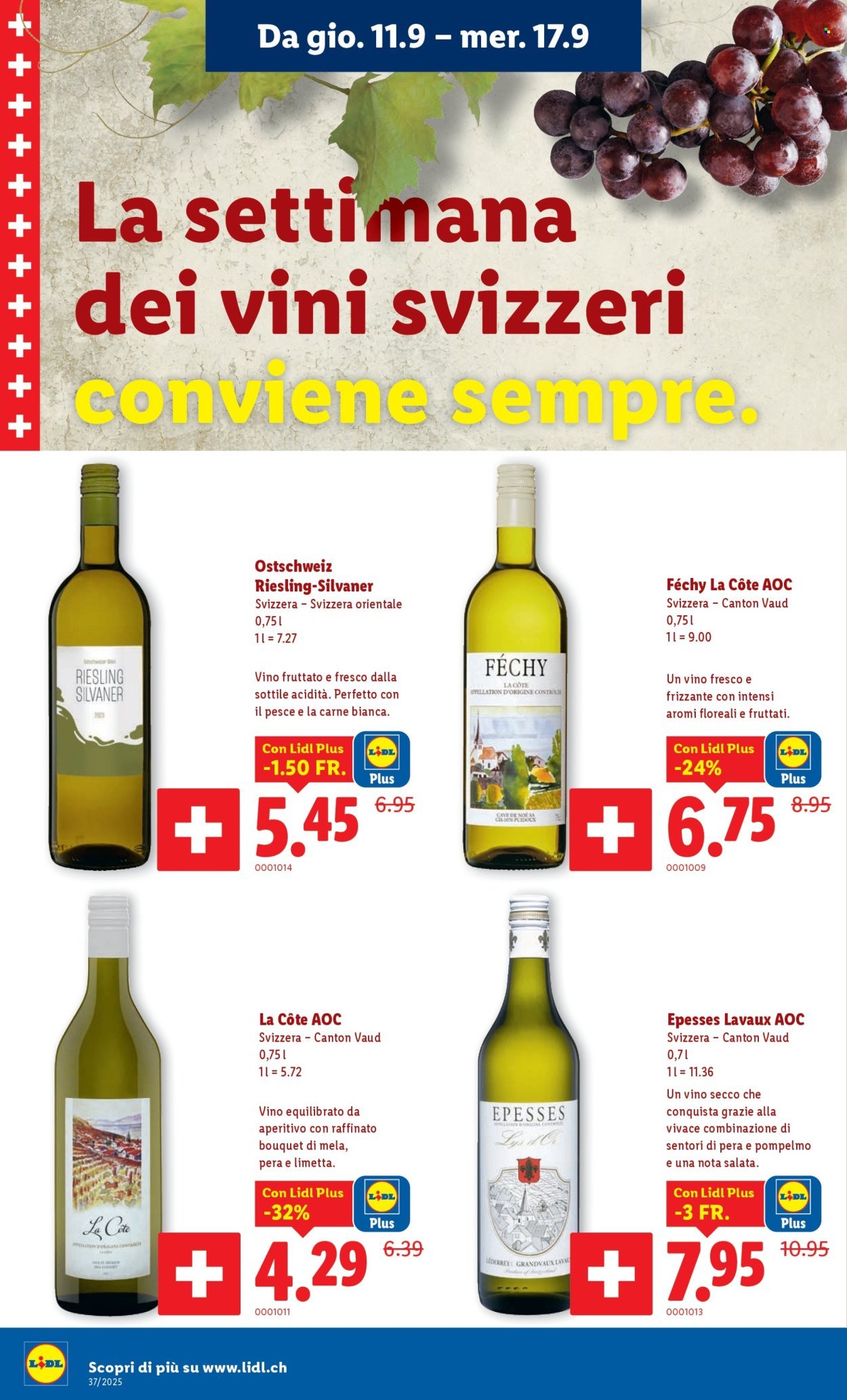 LIDL Prospekt - S 37 (2025-09-11 - 2025-09-17)