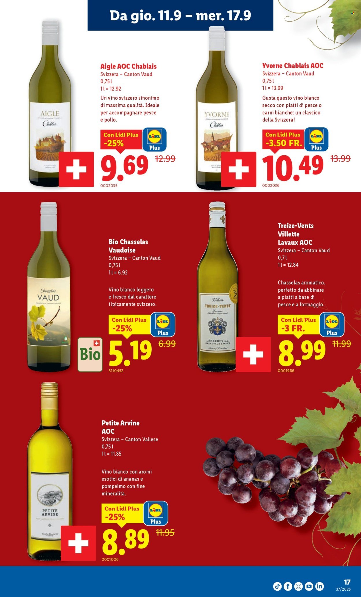 LIDL Prospekt - S 37 (2025-09-11 - 2025-09-17)