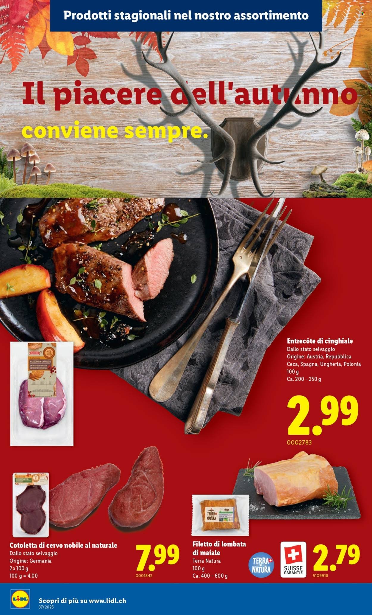 LIDL Prospekt - S 37 (2025-09-11 - 2025-09-17)