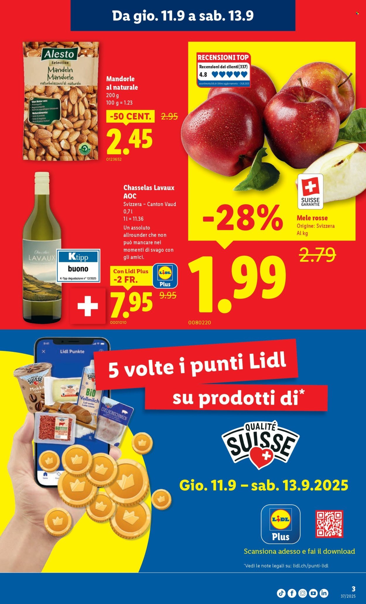 LIDL Prospekt - S 37 (2025-09-11 - 2025-09-17)