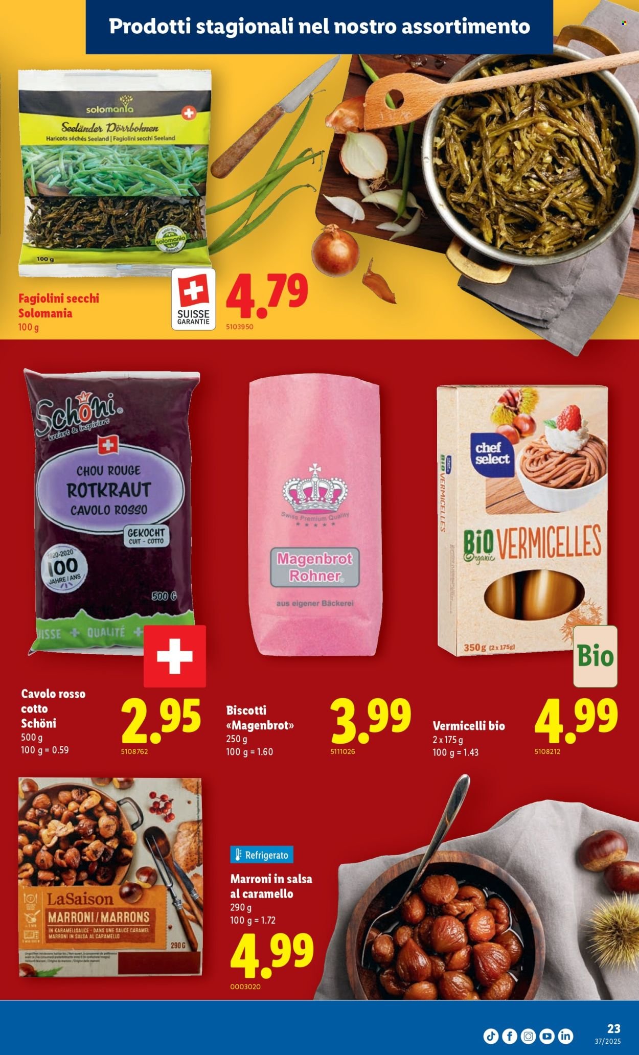 LIDL Prospekt - S 37 (2025-09-11 - 2025-09-17)
