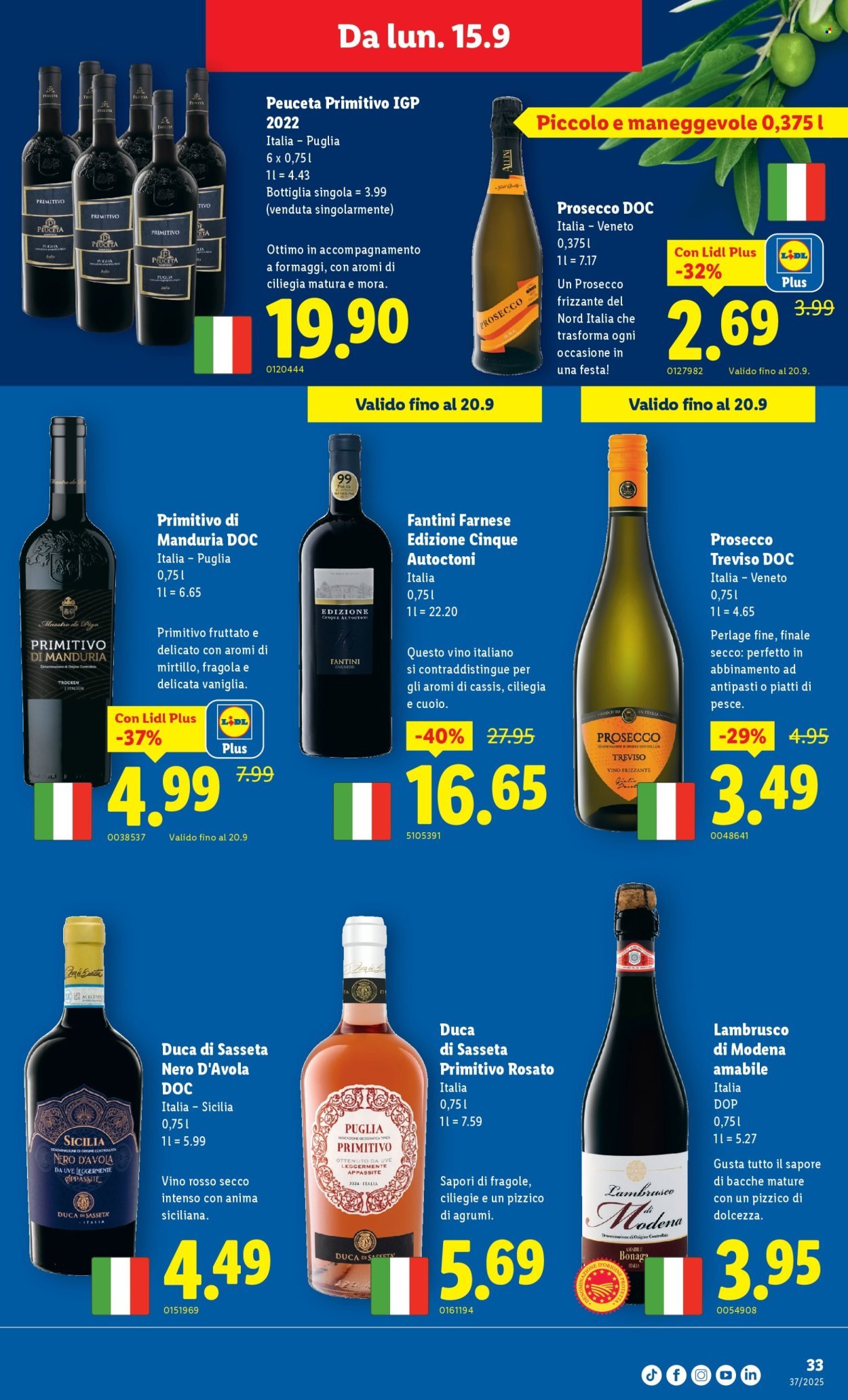LIDL Prospekt - S 37 (2025-09-11 - 2025-09-17)