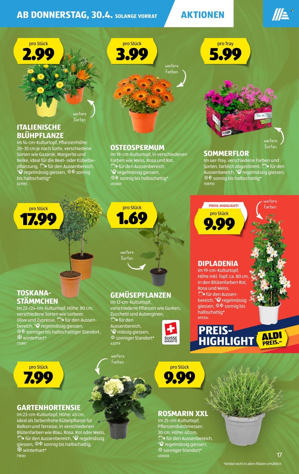 ALDI Prospekt - Vom 30.4.2026 (2026-04-30 - 2026-05-06) | 17