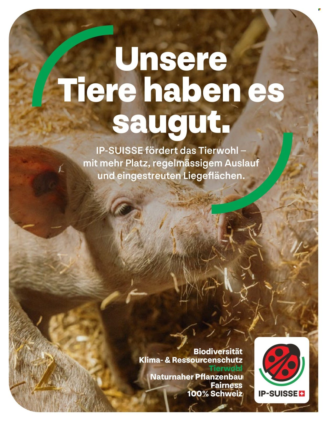 VOLG Prospekt - Vom 1.5.2026 (2026-05-01 - 2026-05-31)