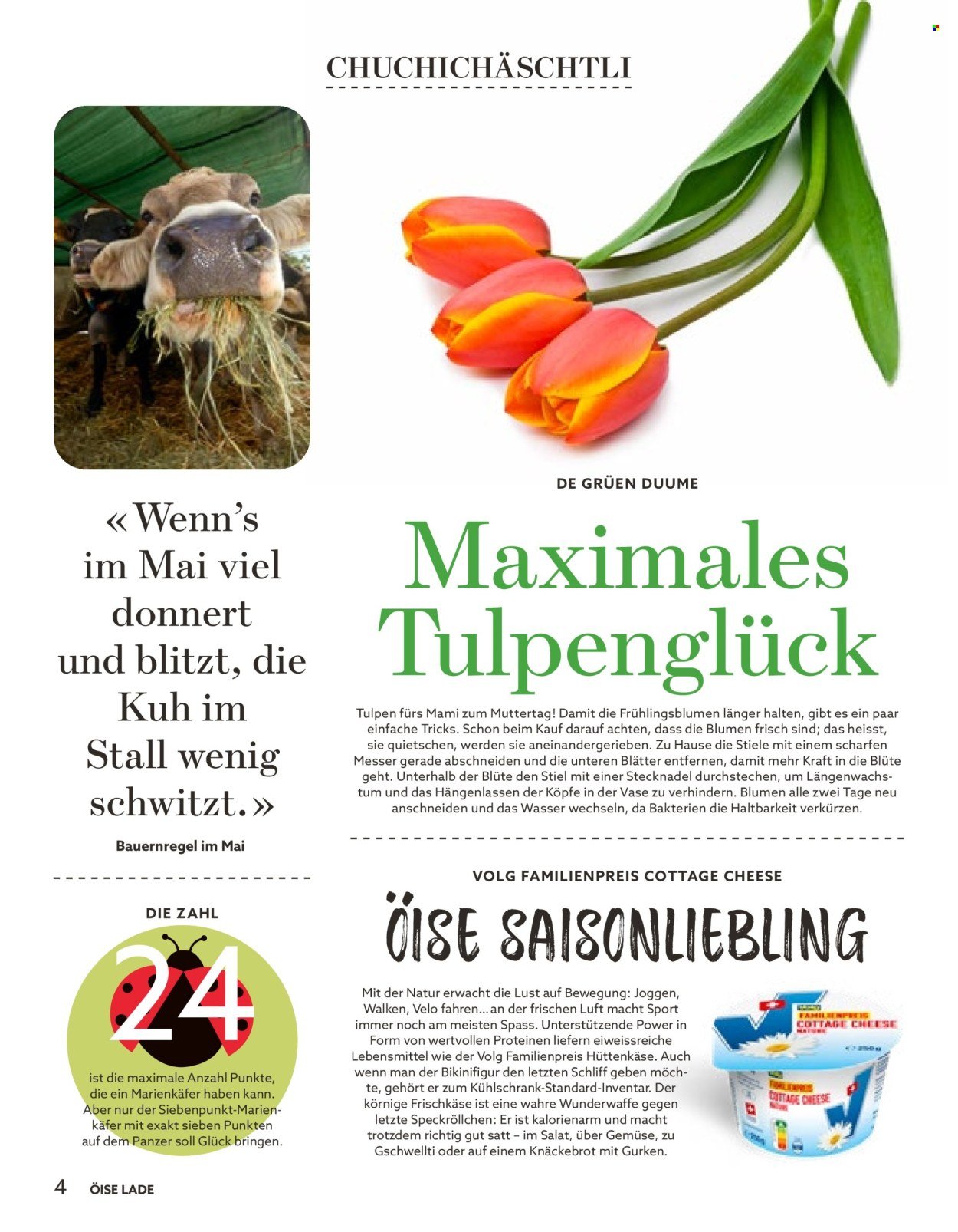 VOLG Prospekt - Vom 1.5.2026 (2026-05-01 - 2026-05-31)