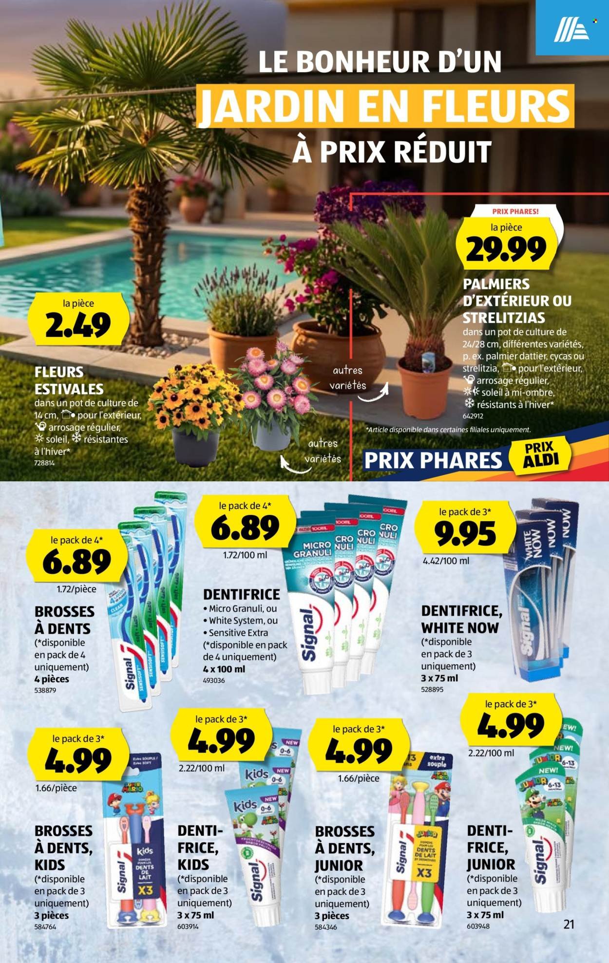 ALDI Prospekt - Vom 25.6.2026