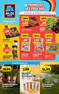 ALDI Prospekt - Vom 25.6.2026