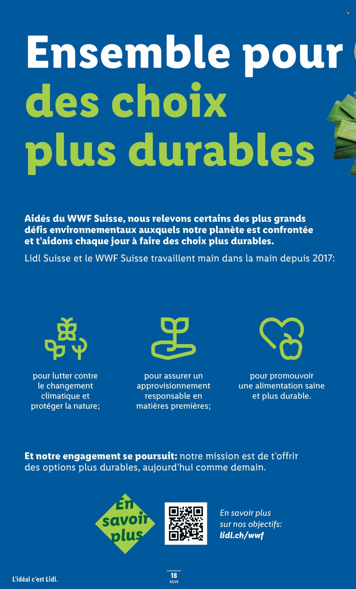 LIDL Prospekt - SEM 33 (2025-08-14 - 2025-08-20)