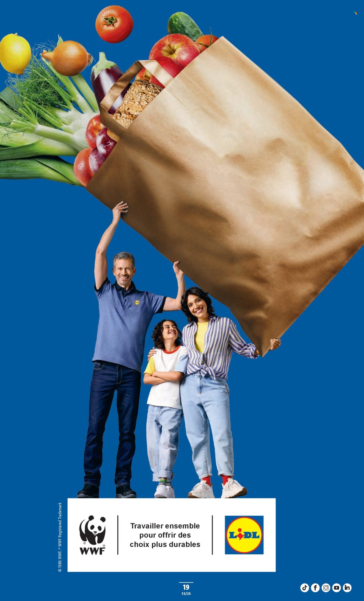 LIDL Prospekt - SEM 33 (2025-08-14 - 2025-08-20)