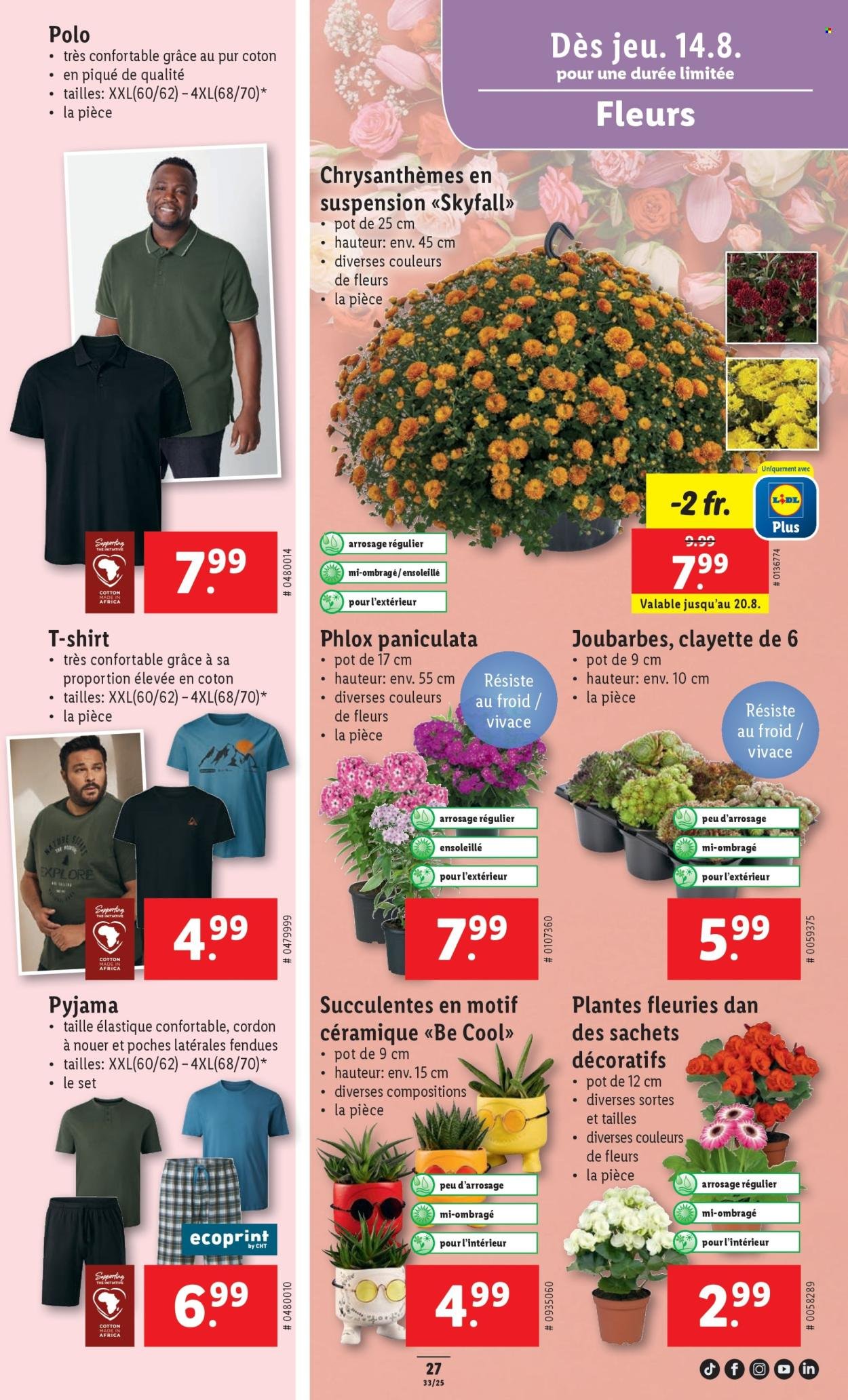 LIDL Prospekt - SEM 33 (2025-08-14 - 2025-08-20)