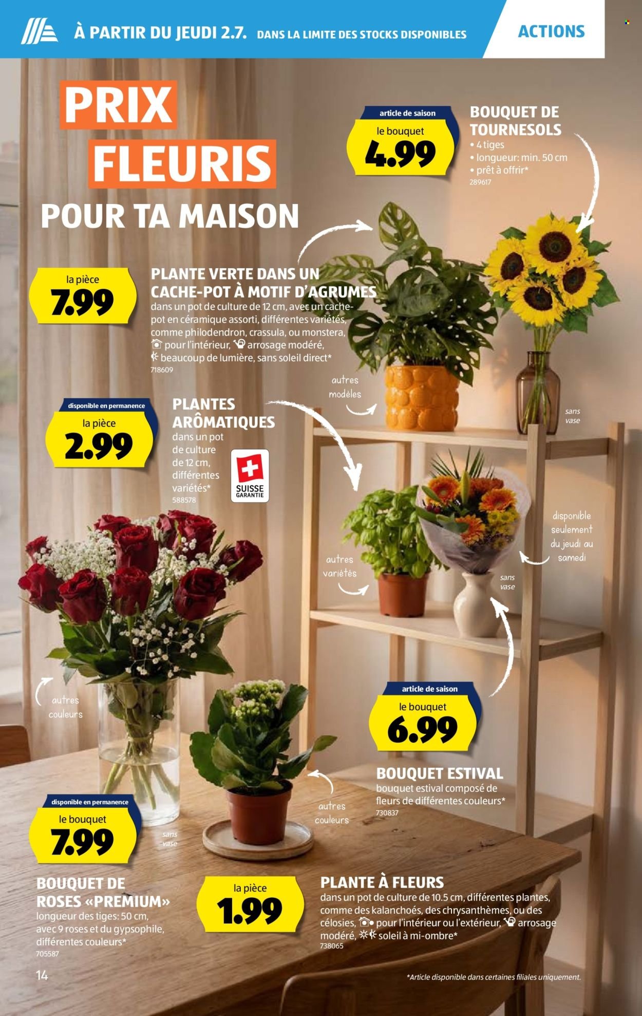 ALDI Prospekt - Vom 2.7.2026