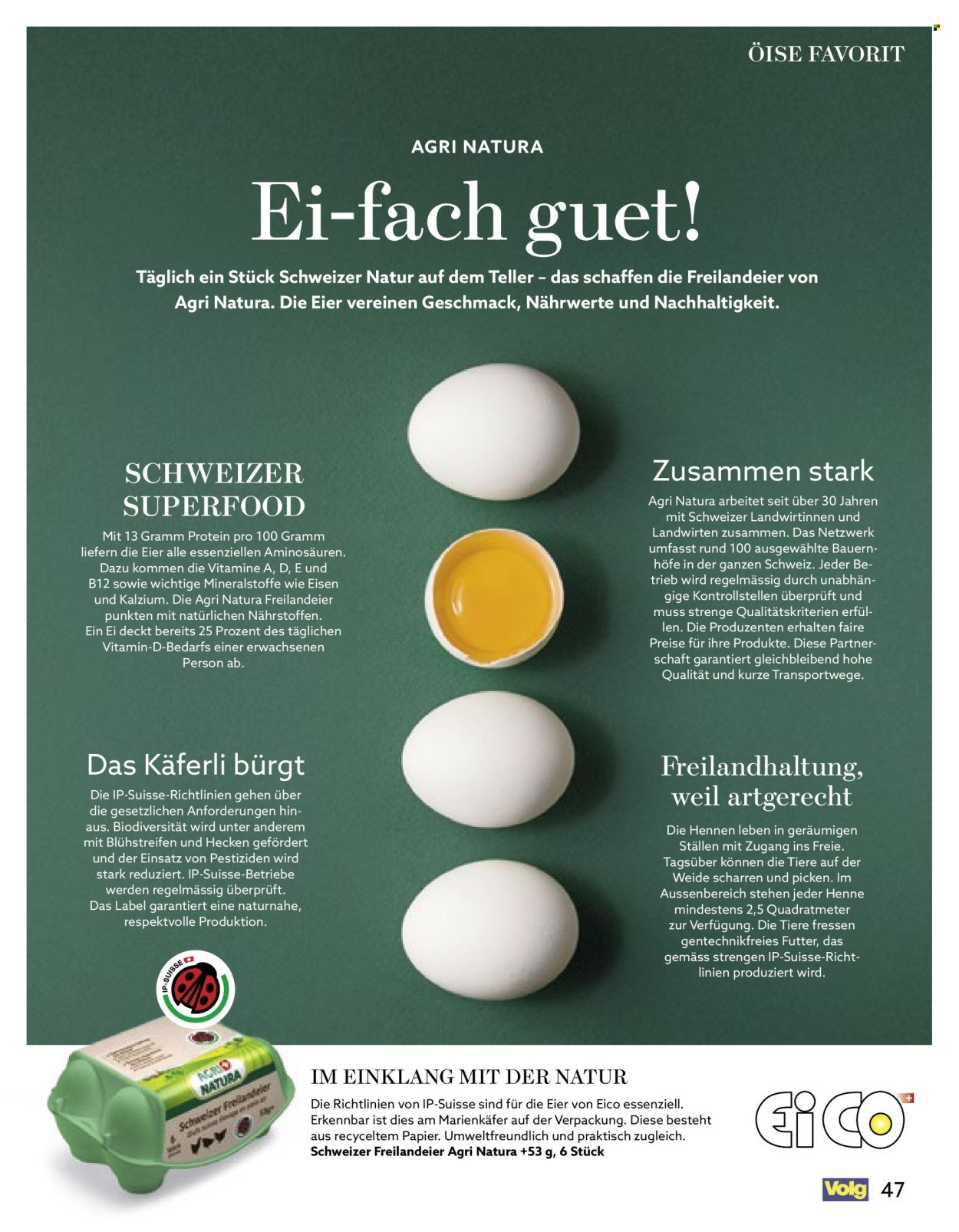 VOLG Prospekt - Vom 1.11.2025 (2025-11-01 - 2025-11-30)