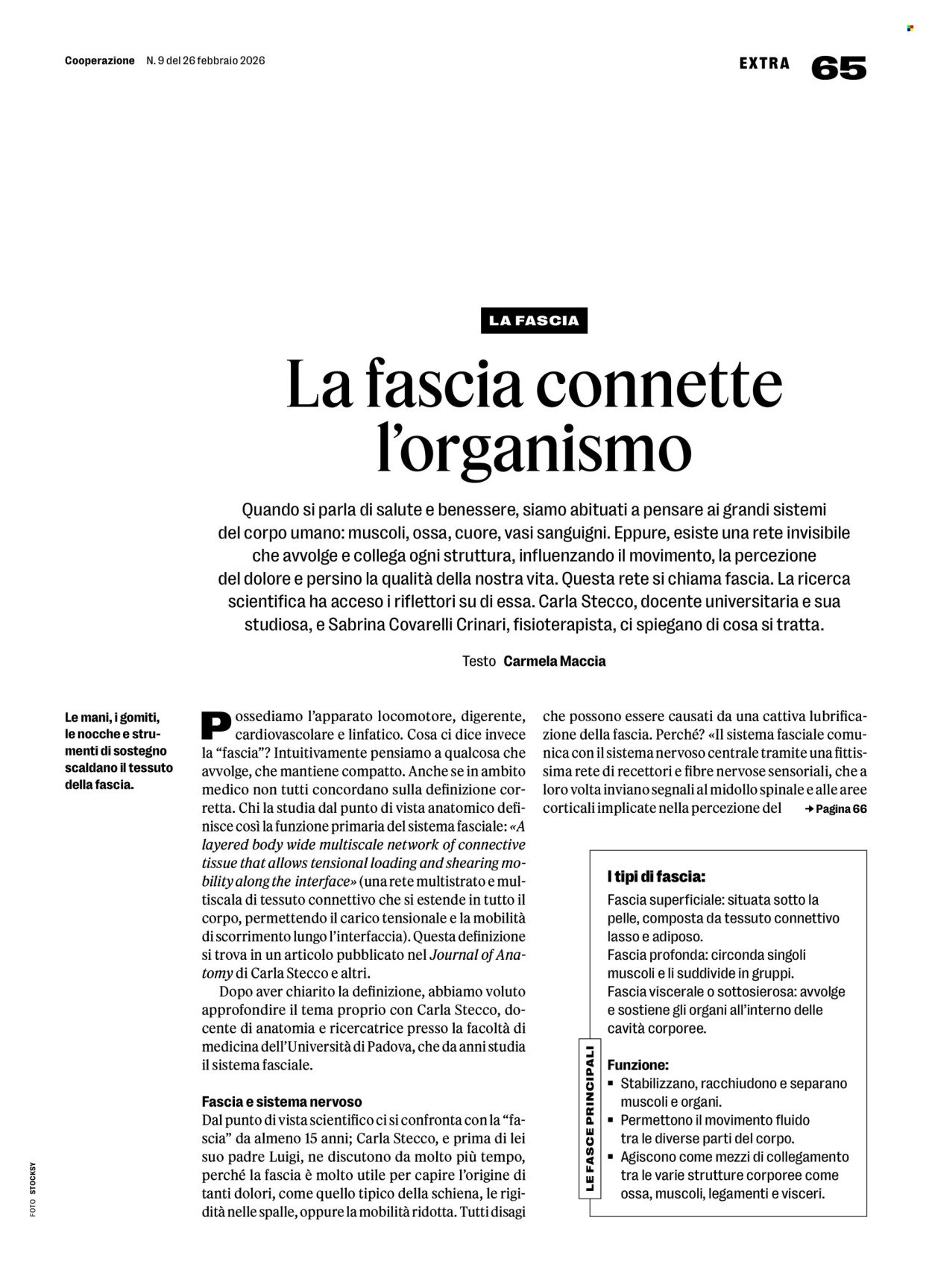 COOP Prospekt - COOPERAZIONE (2026-02-26 - 2026-03-04) | 65