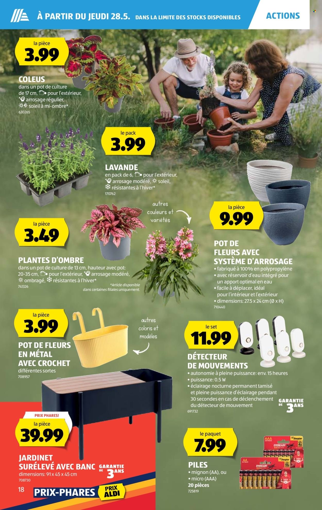ALDI Prospekt - Vom 28.5.2026 (2026-05-28 - 2026-06-03)