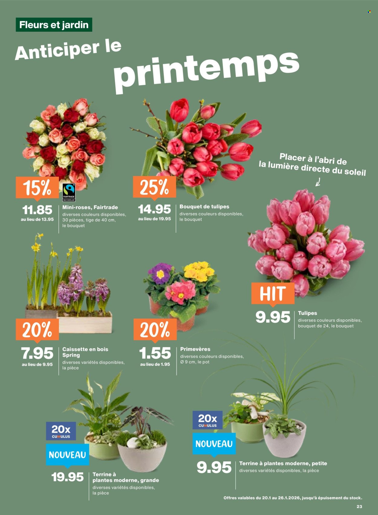 MIGROS Prospekt - Vom 20.1.2026 (2026-01-20 - 2026-01-26) | 23