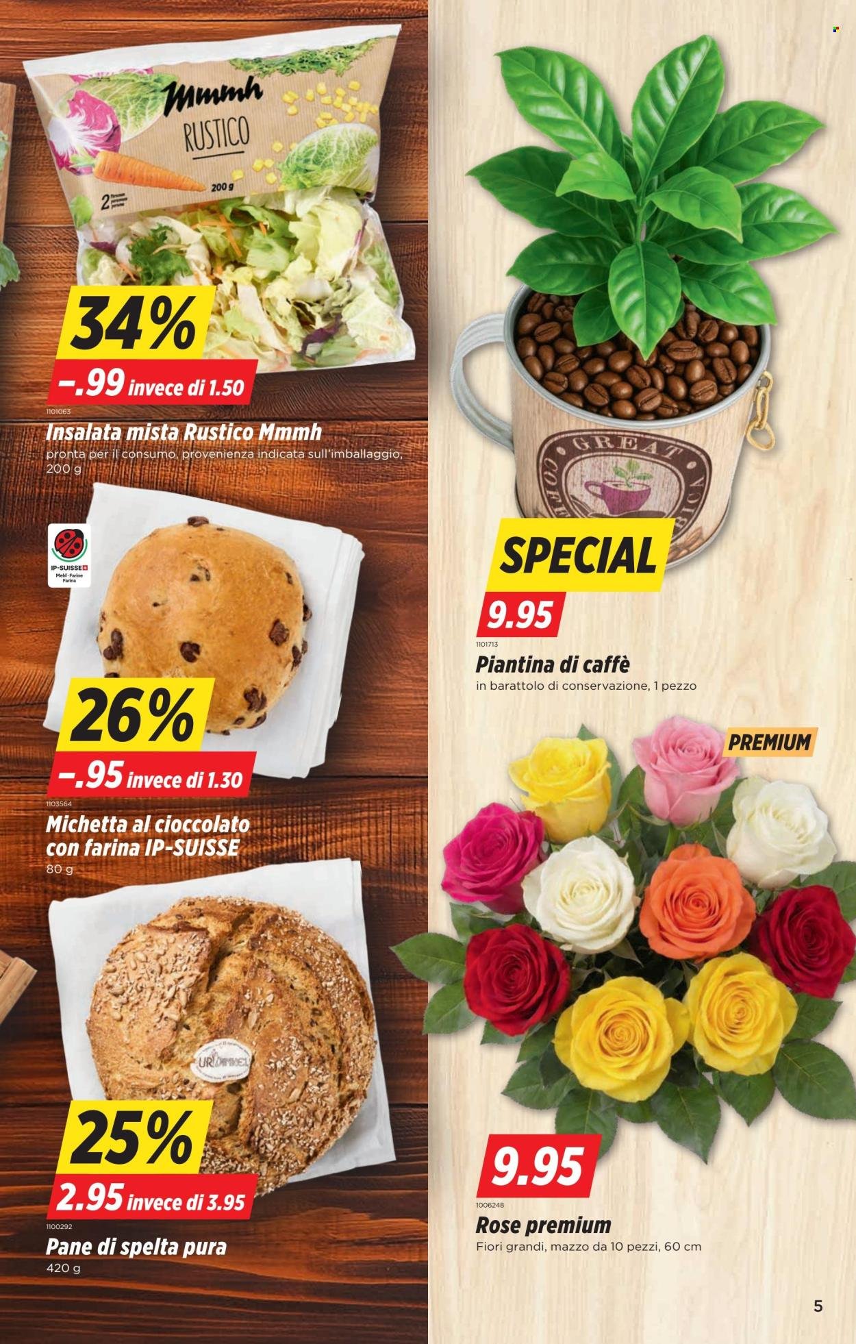 DENNER Prospekt - SETT40