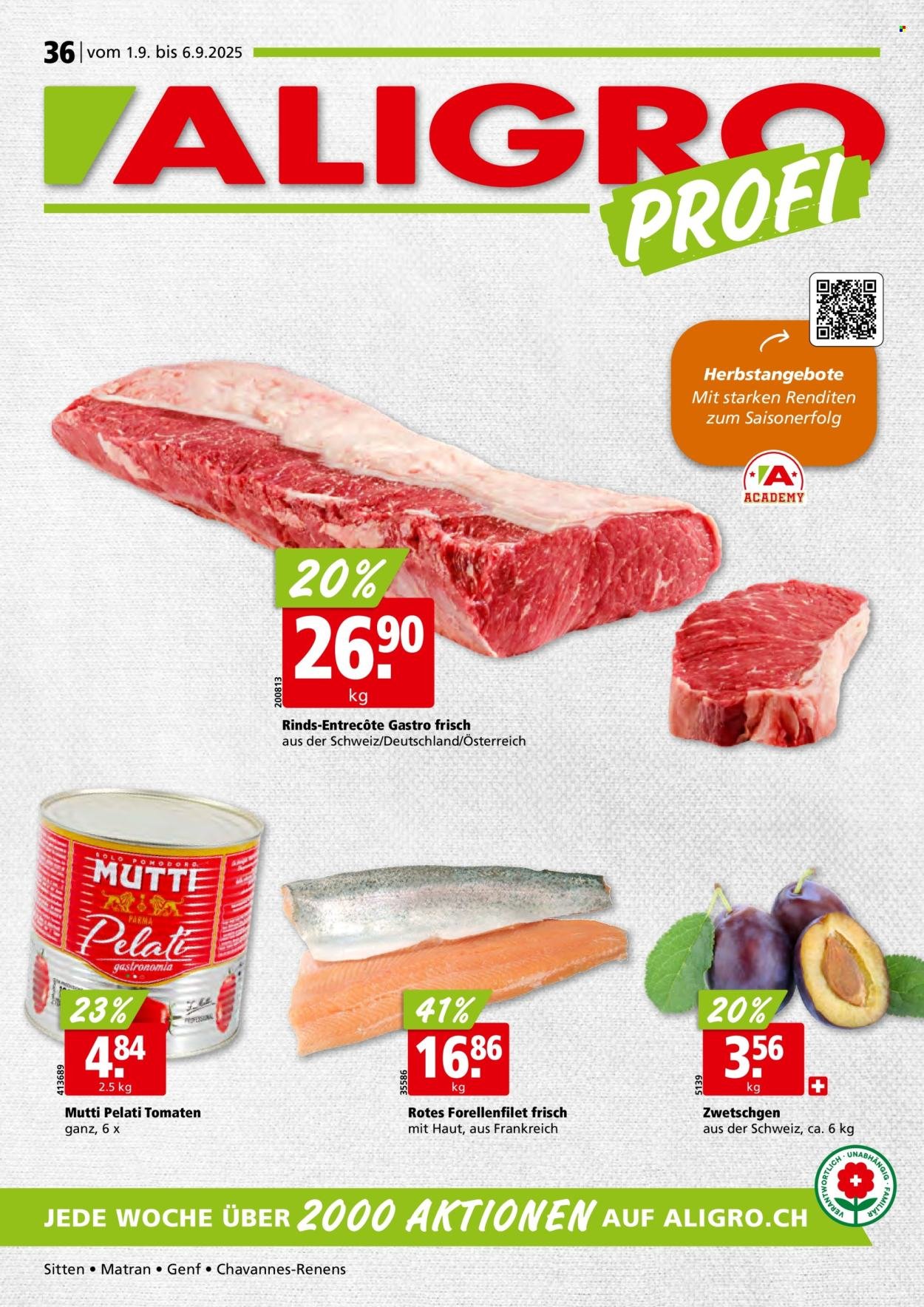 ALIGRO Prospekt - KW 36 (2025-08-27 - 2025-08-27)