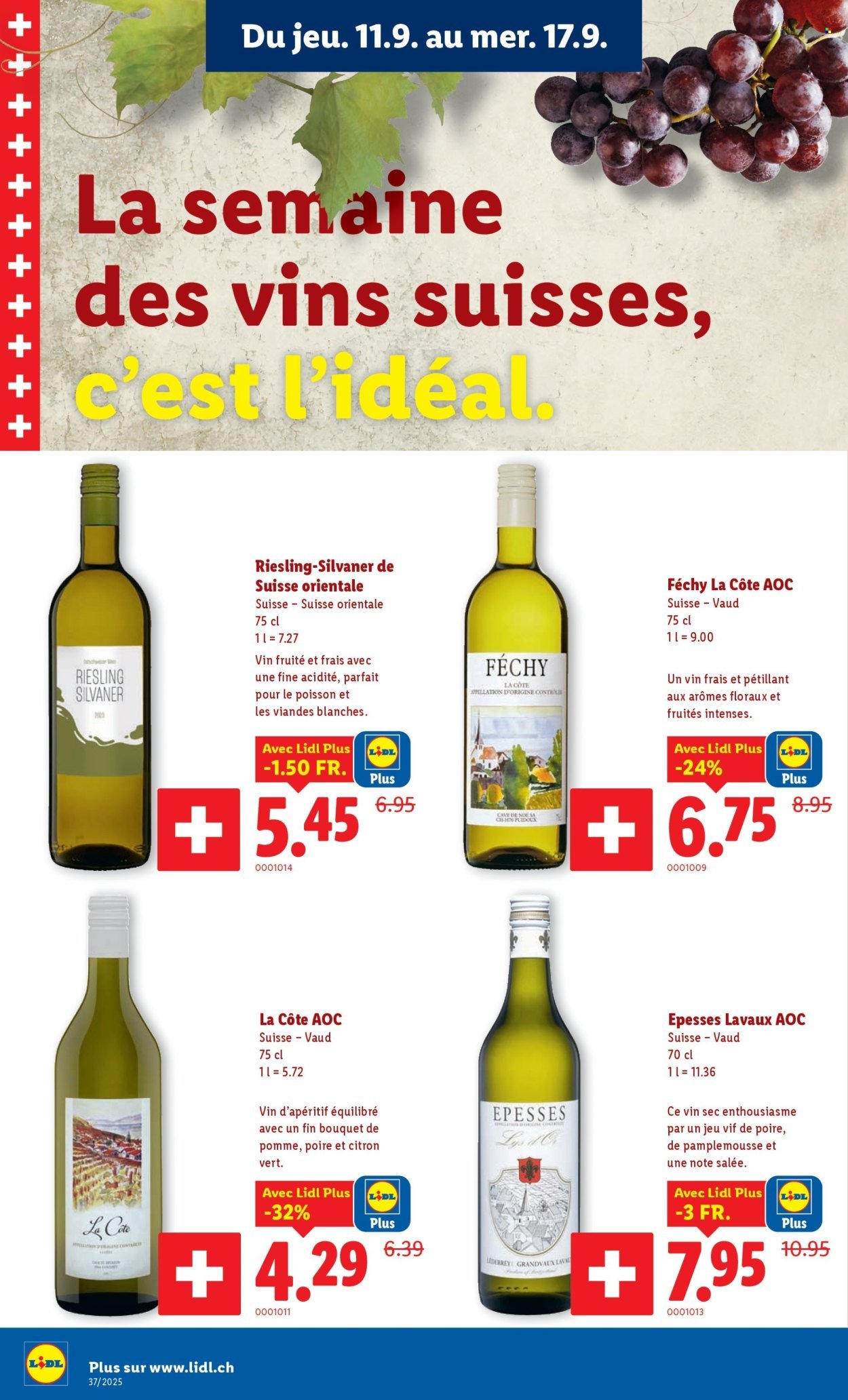 LIDL Prospekt - SEM 37 (2025-09-11 - 2025-09-19)