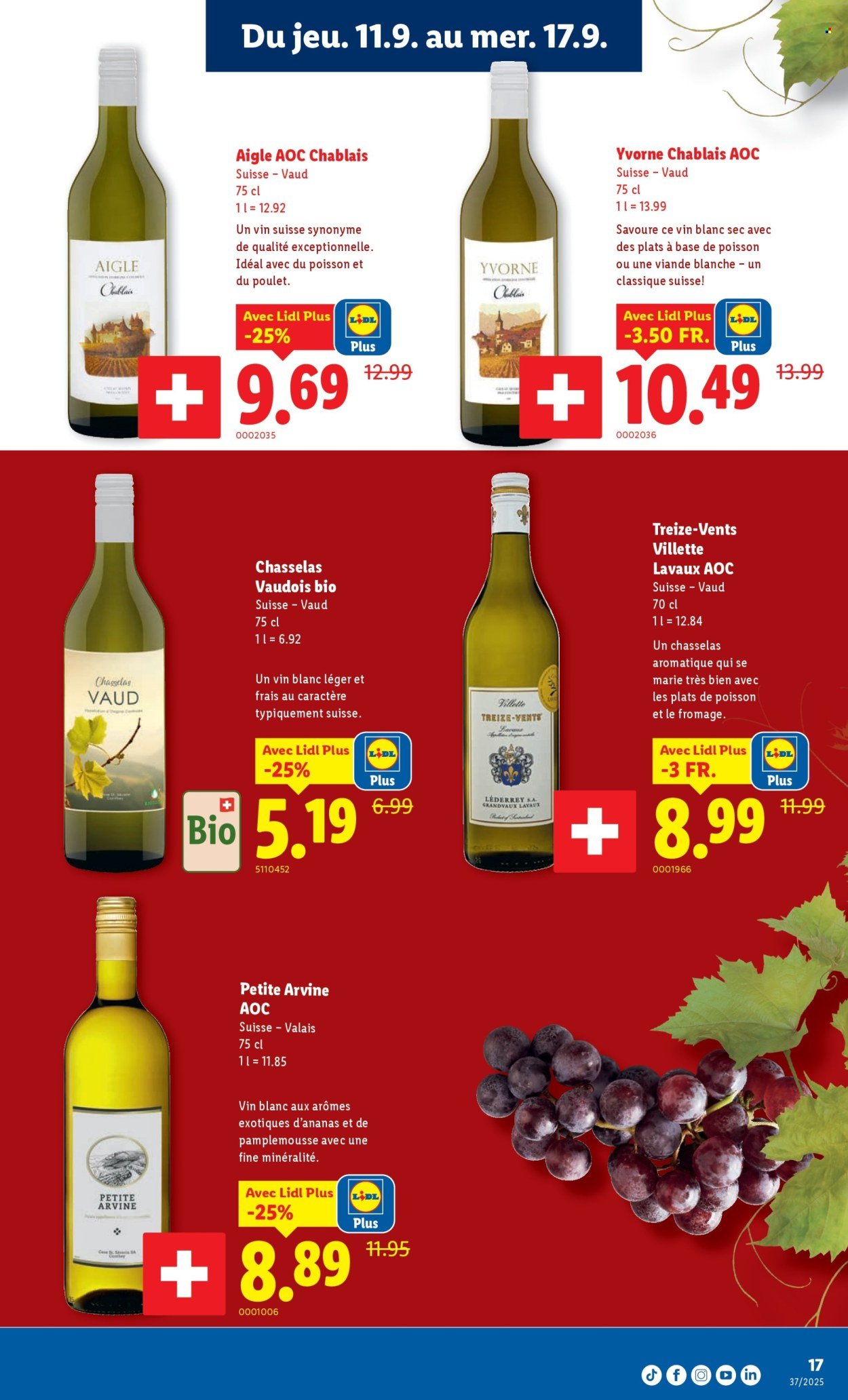 LIDL Prospekt - SEM 37 (2025-09-11 - 2025-09-19)