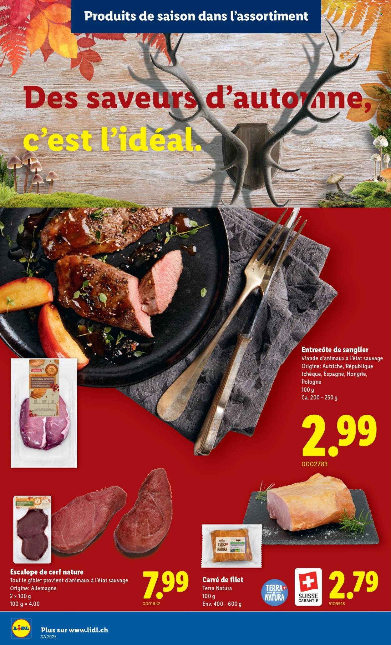 LIDL Prospekt - SEM 37 (2025-09-11 - 2025-09-19)