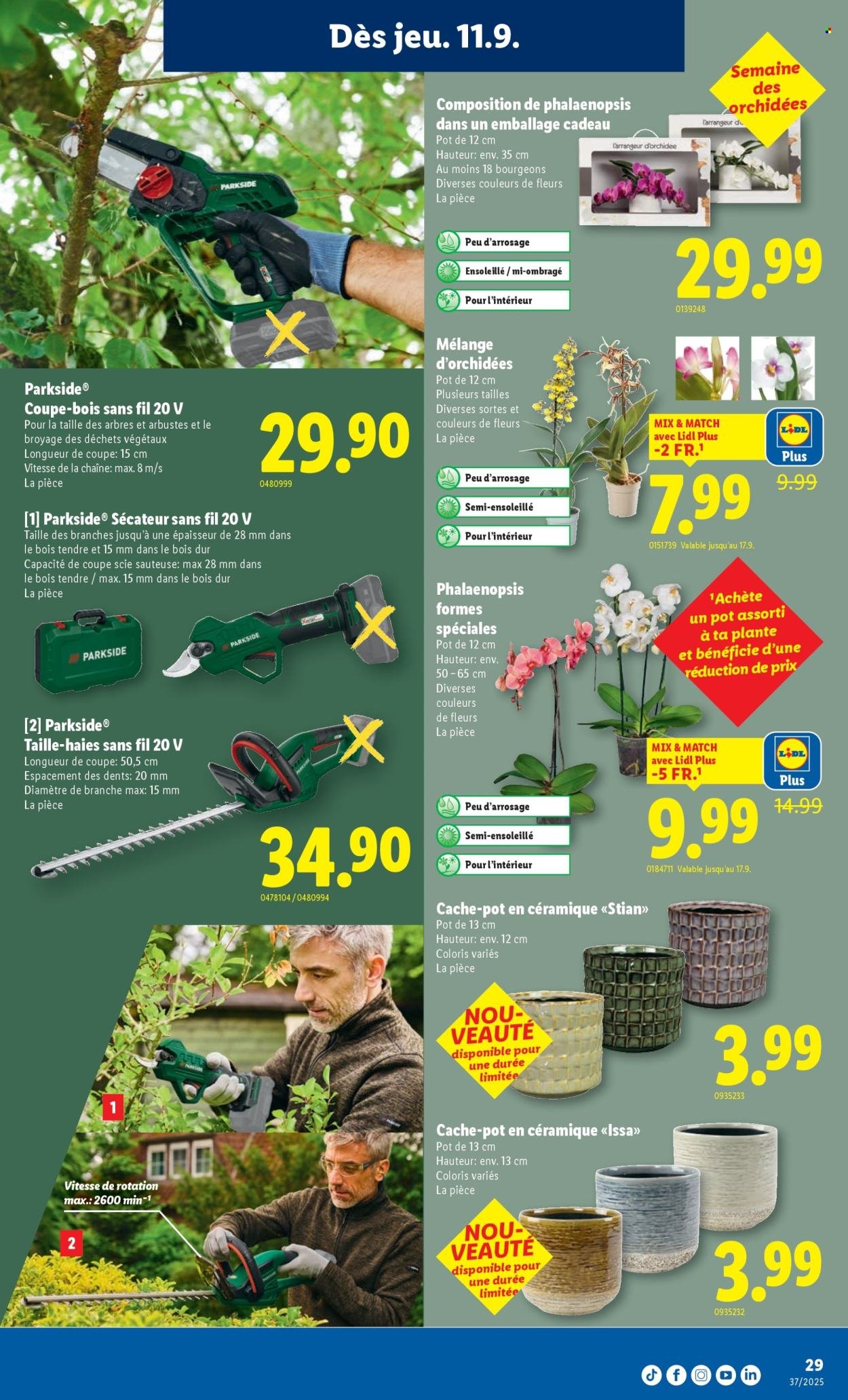 LIDL Prospekt - SEM 37 (2025-09-11 - 2025-09-19)