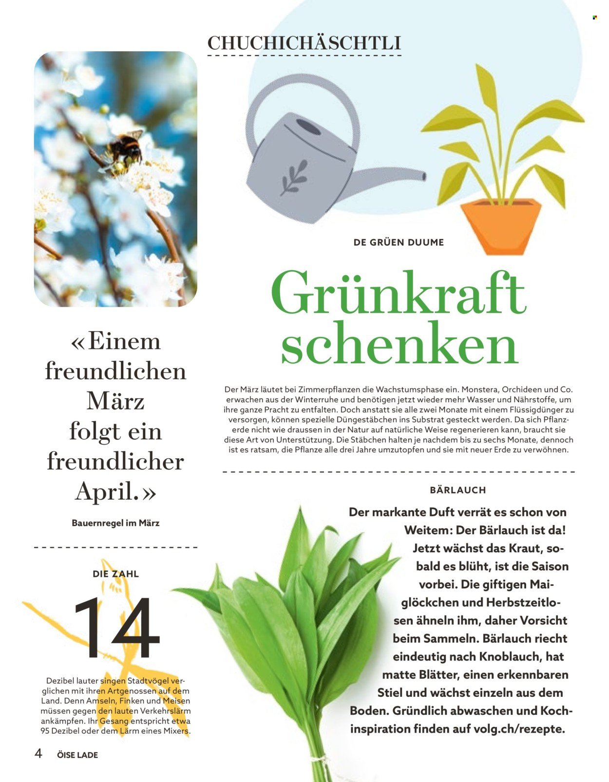 VOLG Prospekt - Vom 1.3.2026 (2026-03-01 - 2026-03-31) | 4