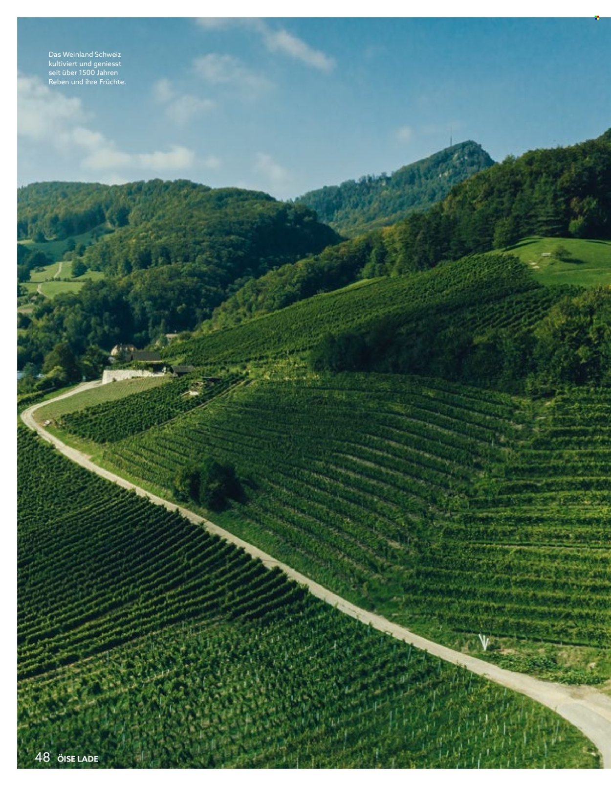 VOLG Prospekt - Vom 1.3.2026 (2026-03-01 - 2026-03-31) | 48