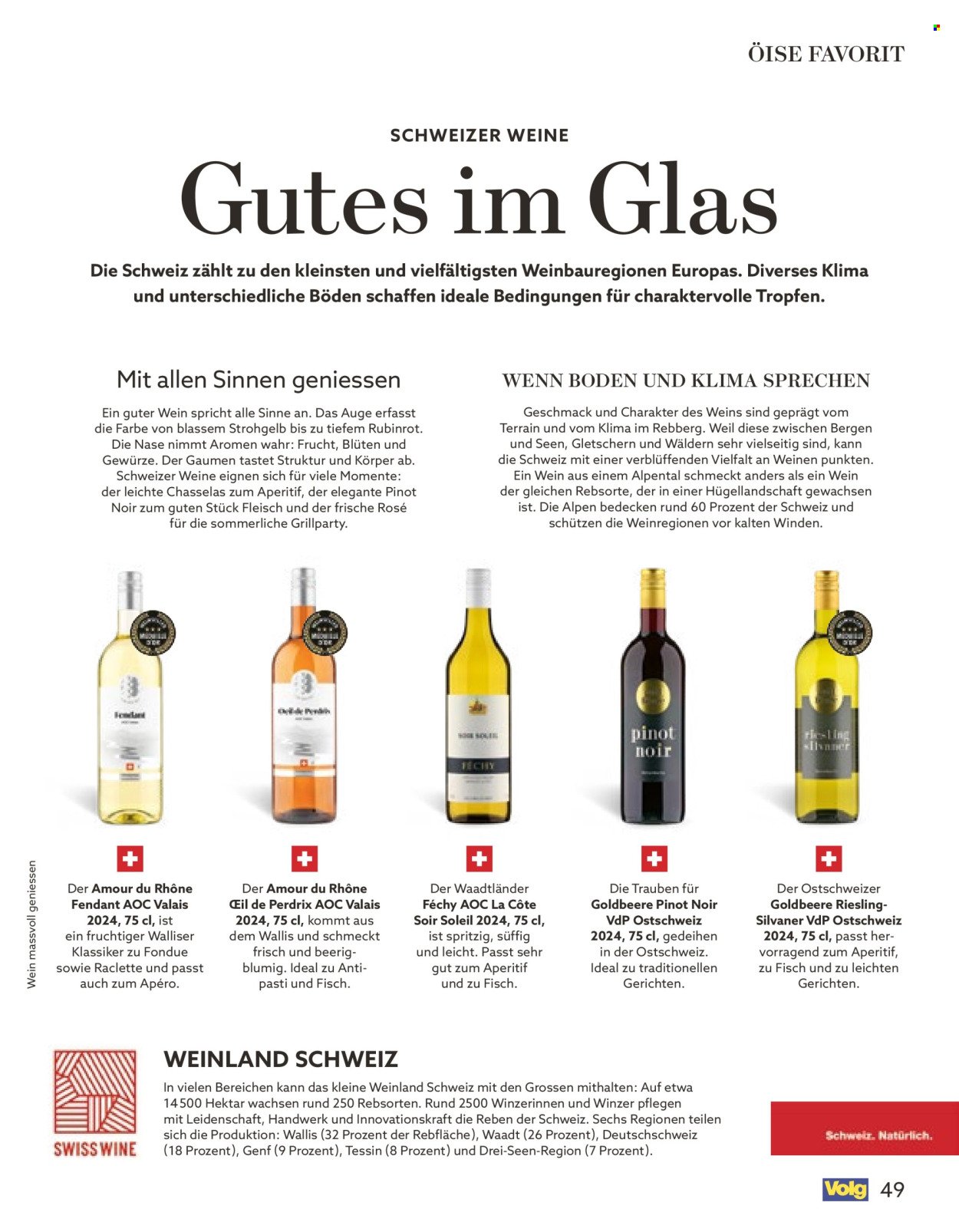 VOLG Prospekt - Vom 1.3.2026 (2026-03-01 - 2026-03-31) | 49