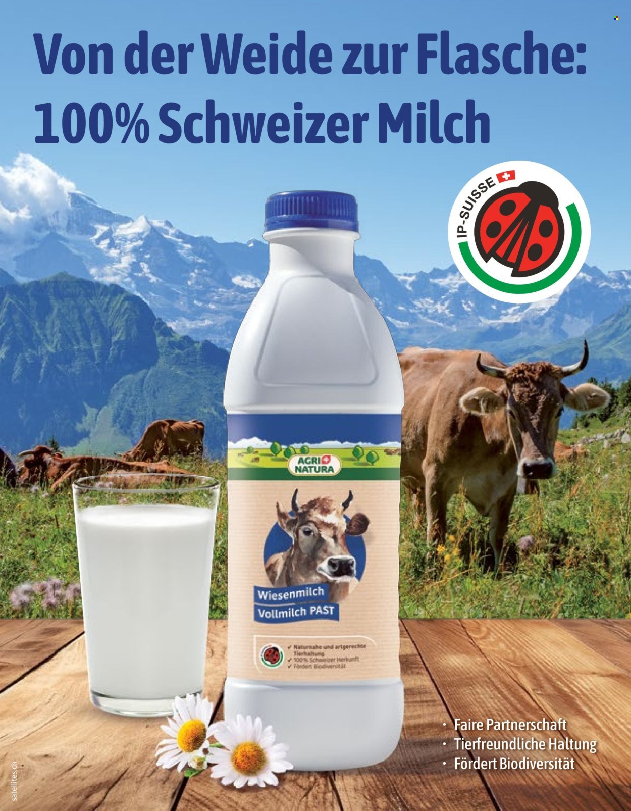 VOLG Prospekt - Vom 1.3.2026 (2026-03-01 - 2026-03-31) | 64