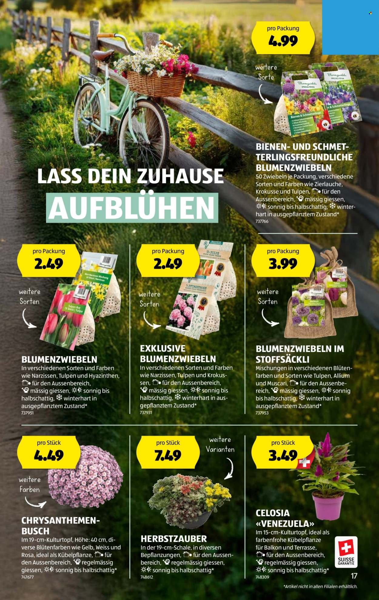 ALDI Prospekt - Vom 4.9.2025 (2025-09-04 - 2025-09-10)