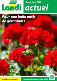 LANDI Prospekt - Géraniums