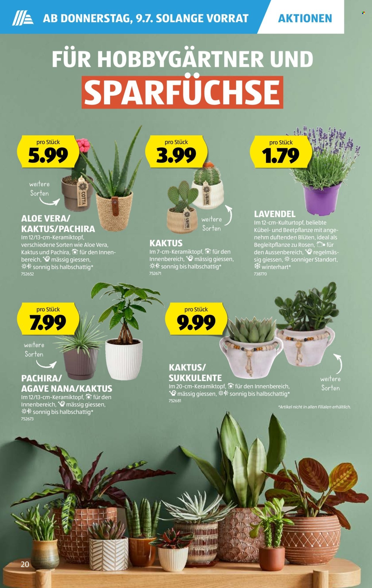 ALDI Prospekt - Vom 9.7.2026