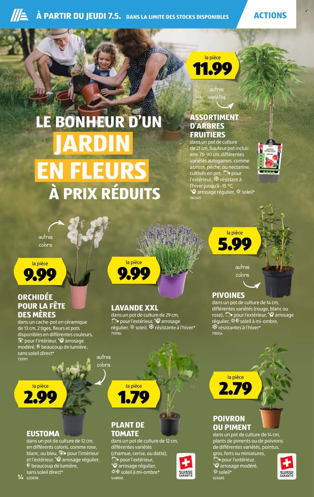 ALDI Prospekt - Vom 7.5.2026 (2026-05-07 - 2026-05-13)