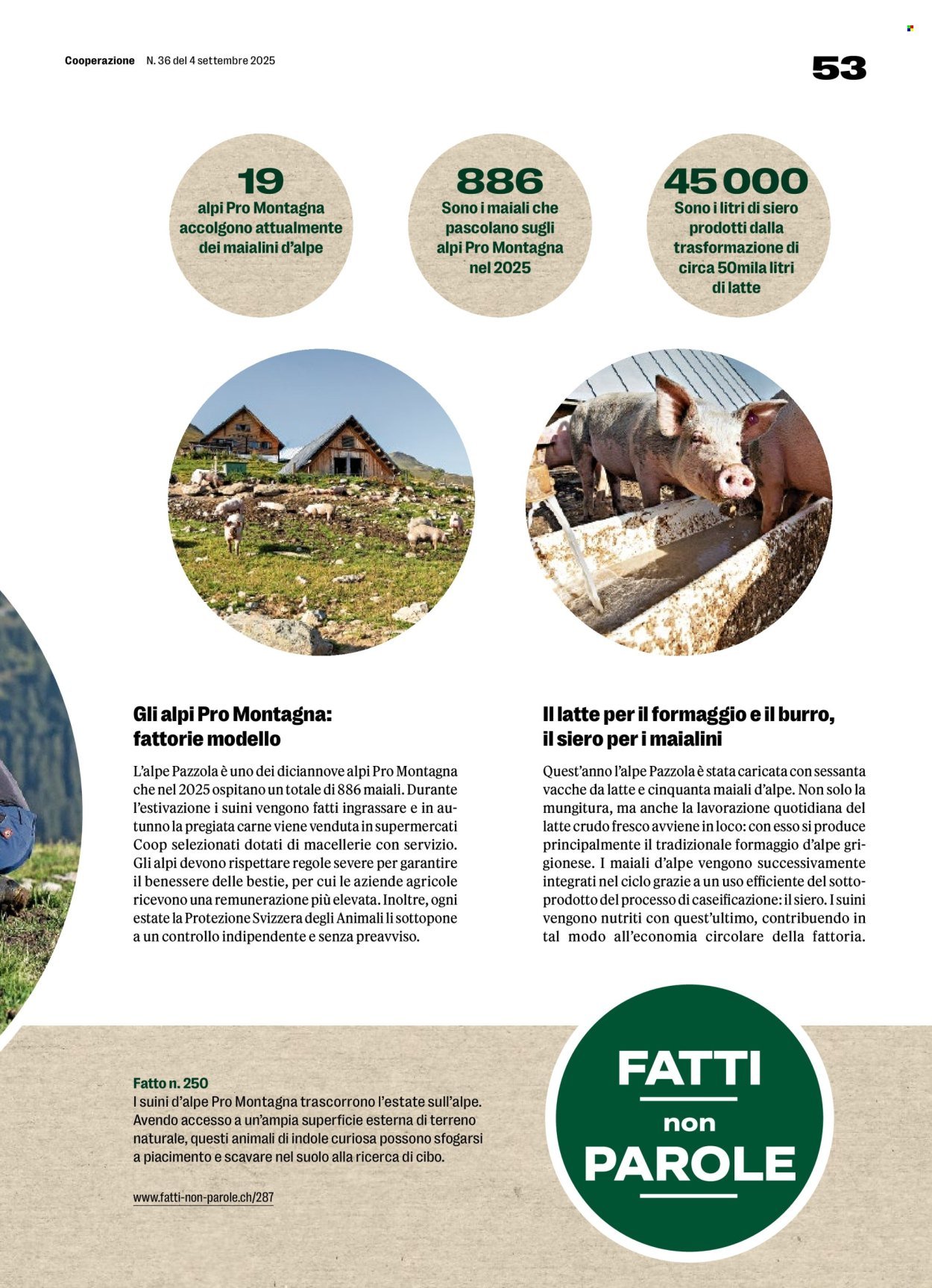 COOP Prospekt - COOPERAZIONE (2025-09-04 - 2025-09-10)