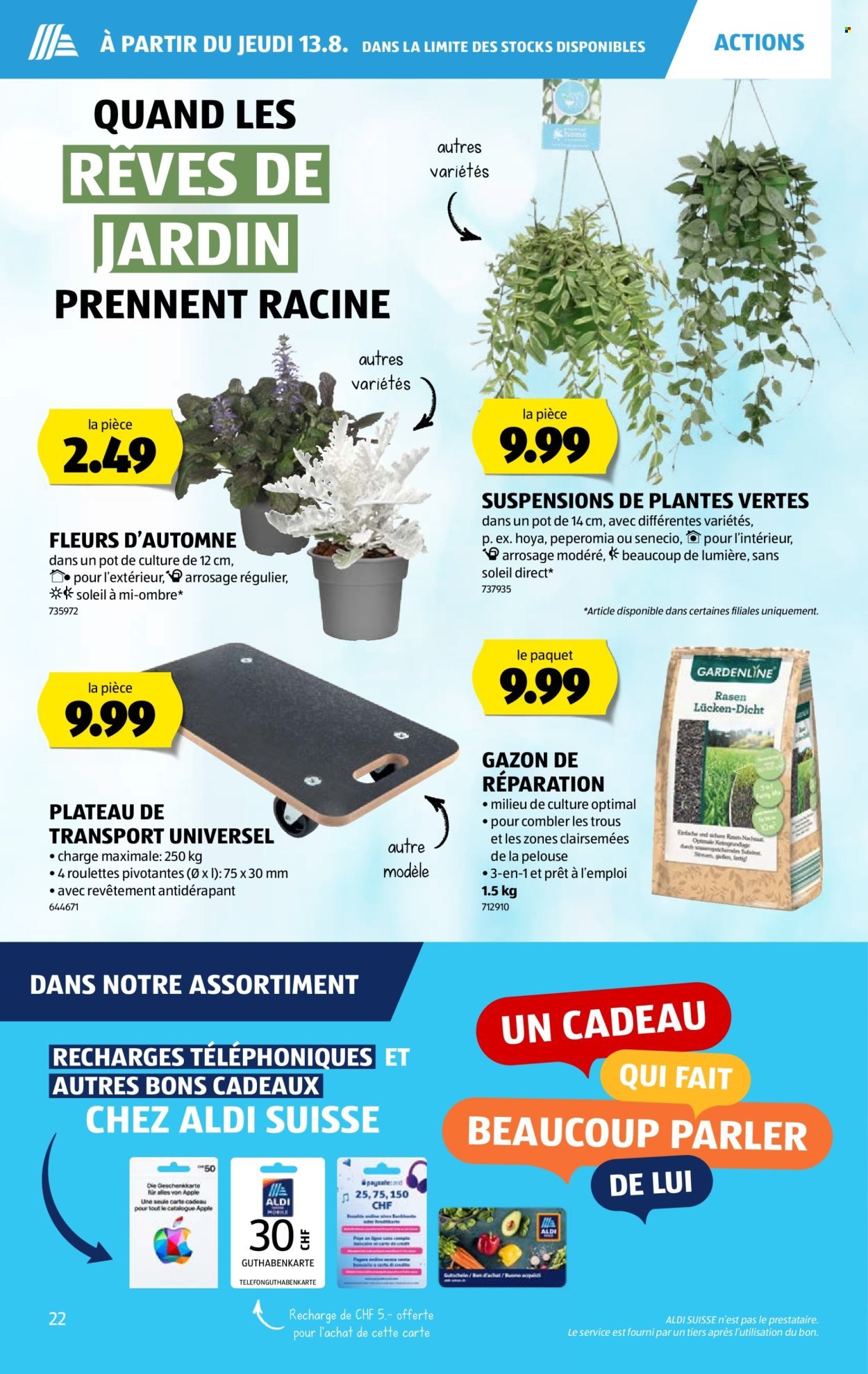 ALDI Prospekt - Vom 13.8.2026