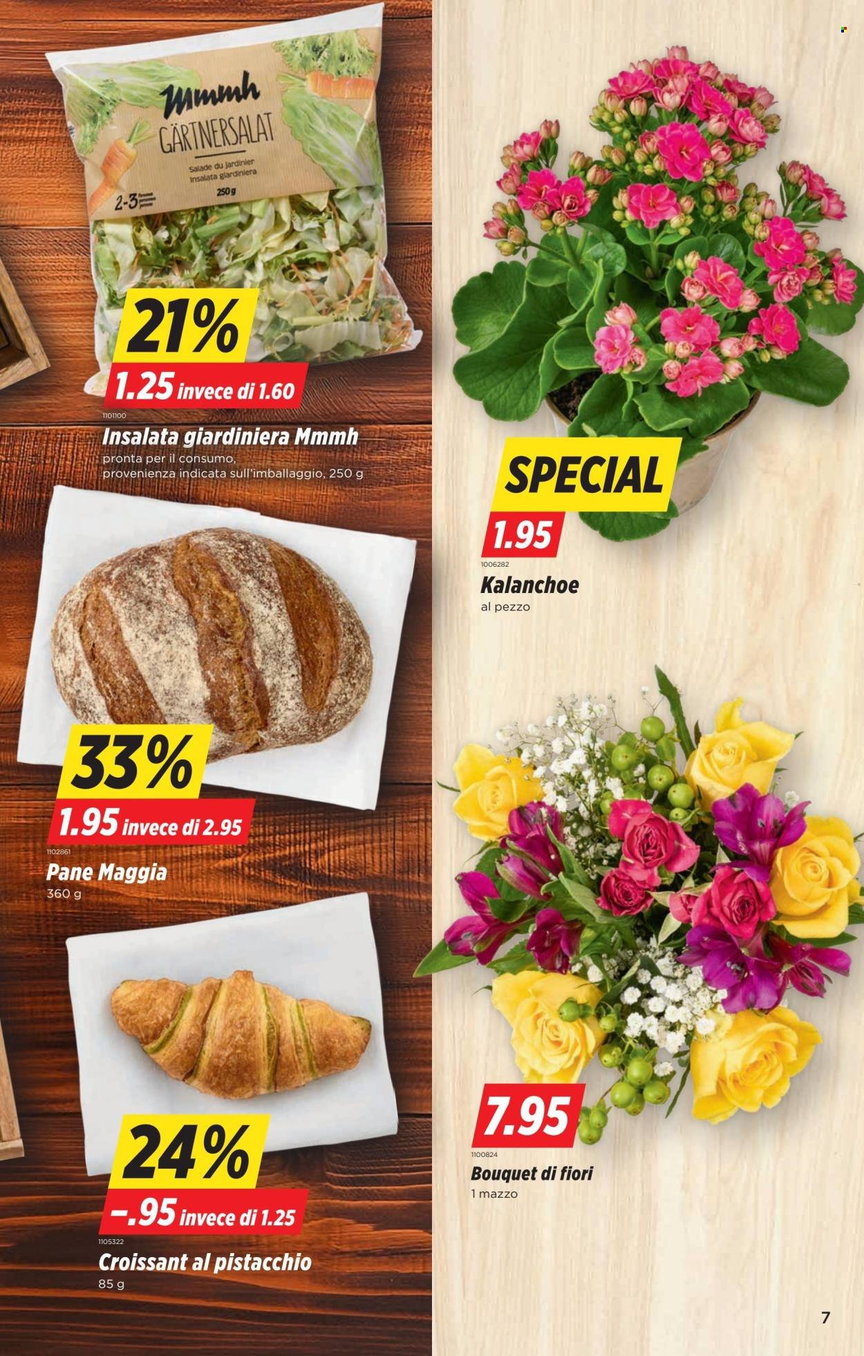 DENNER Prospekt - SETT41