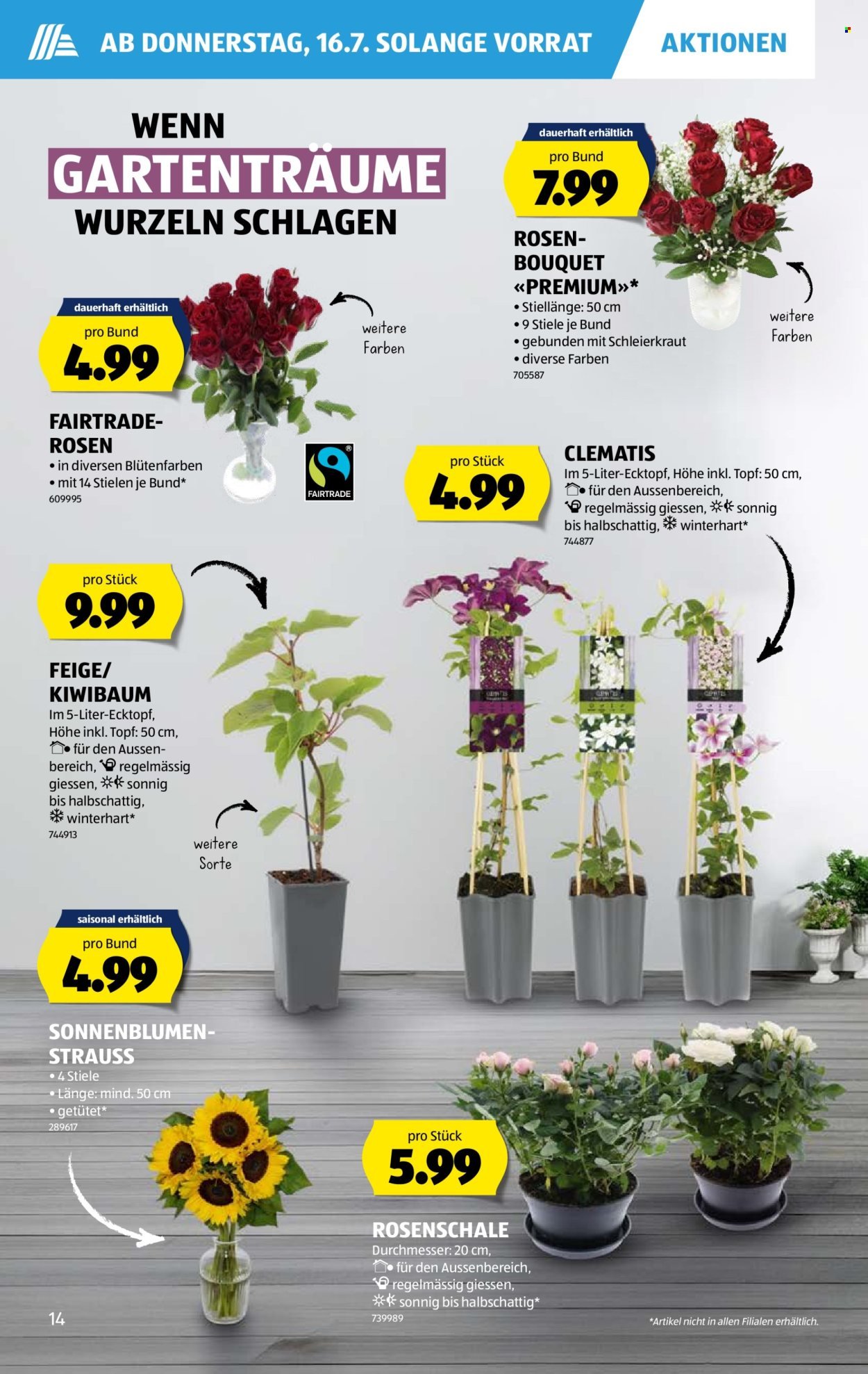 ALDI Prospekt - Vom 16.7.2026