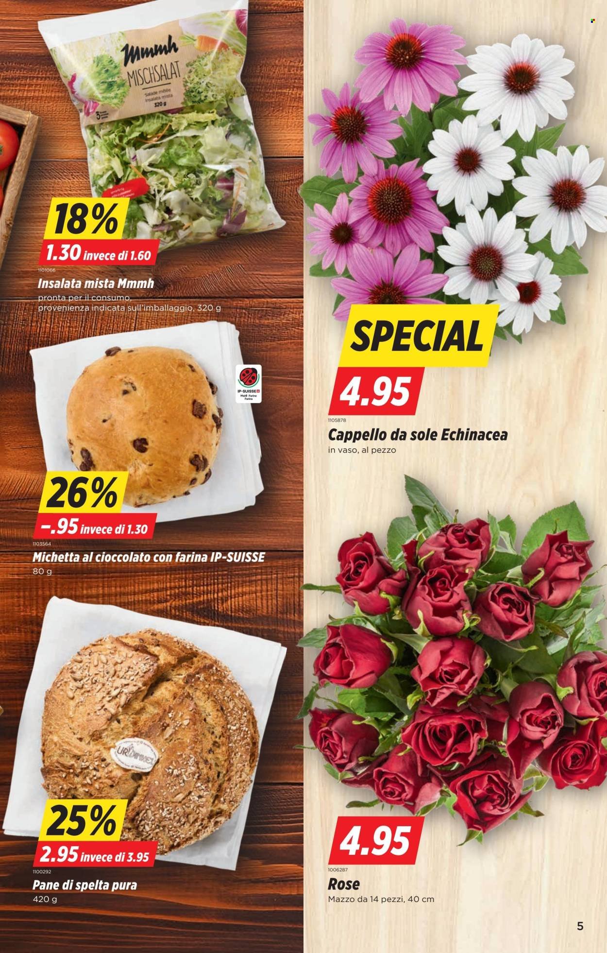 DENNER Prospekt - SETT34