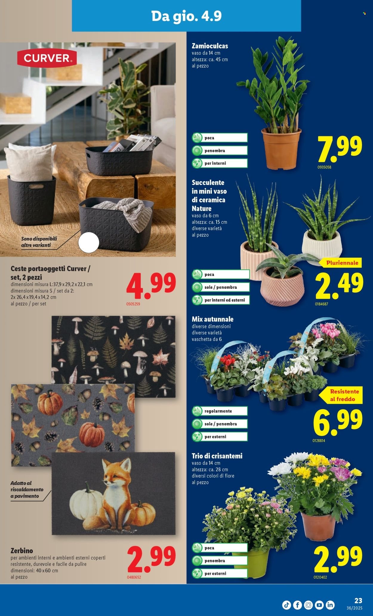 LIDL Prospekt - S 36 (2025-09-04 - 2025-09-10)