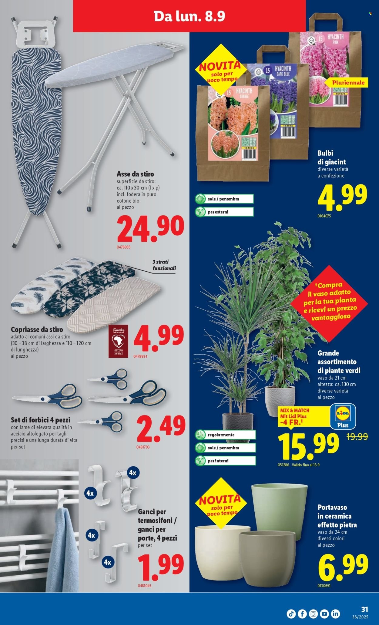 LIDL Prospekt - S 36 (2025-09-04 - 2025-09-10)