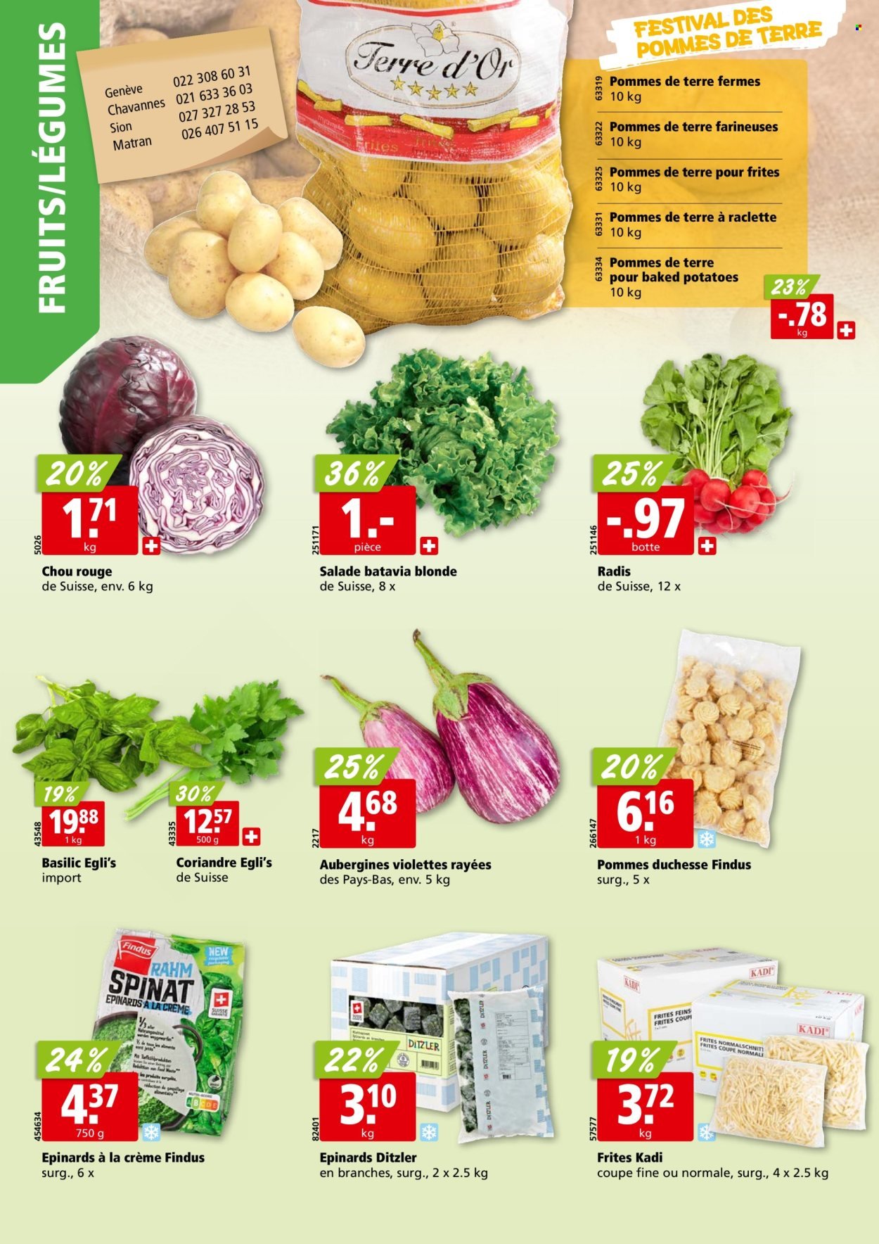 ALIGRO Prospekt - KW 37 (2025-09-08 - 2025-09-13)
