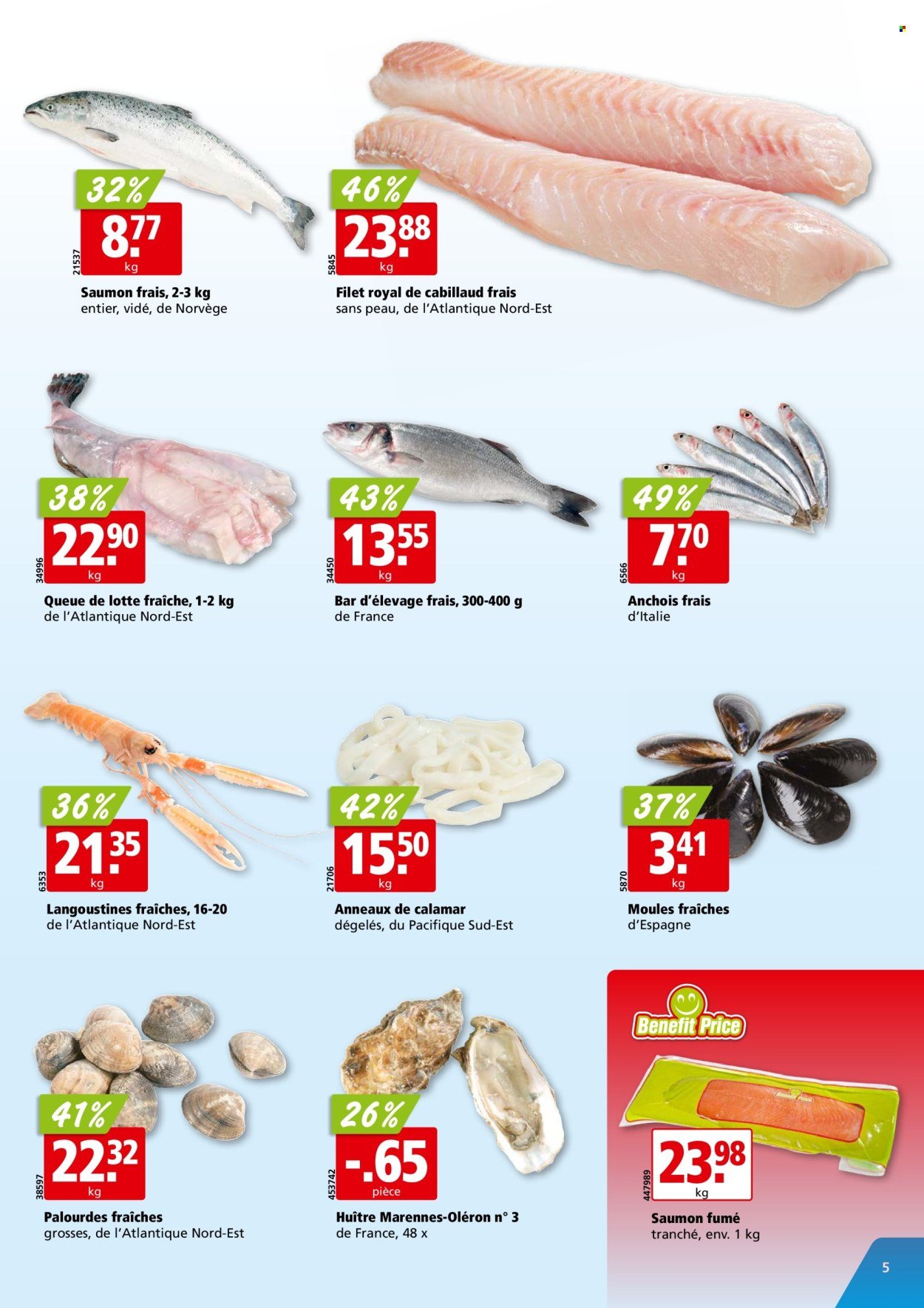 ALIGRO Prospekt - KW 37 (2025-09-08 - 2025-09-13)