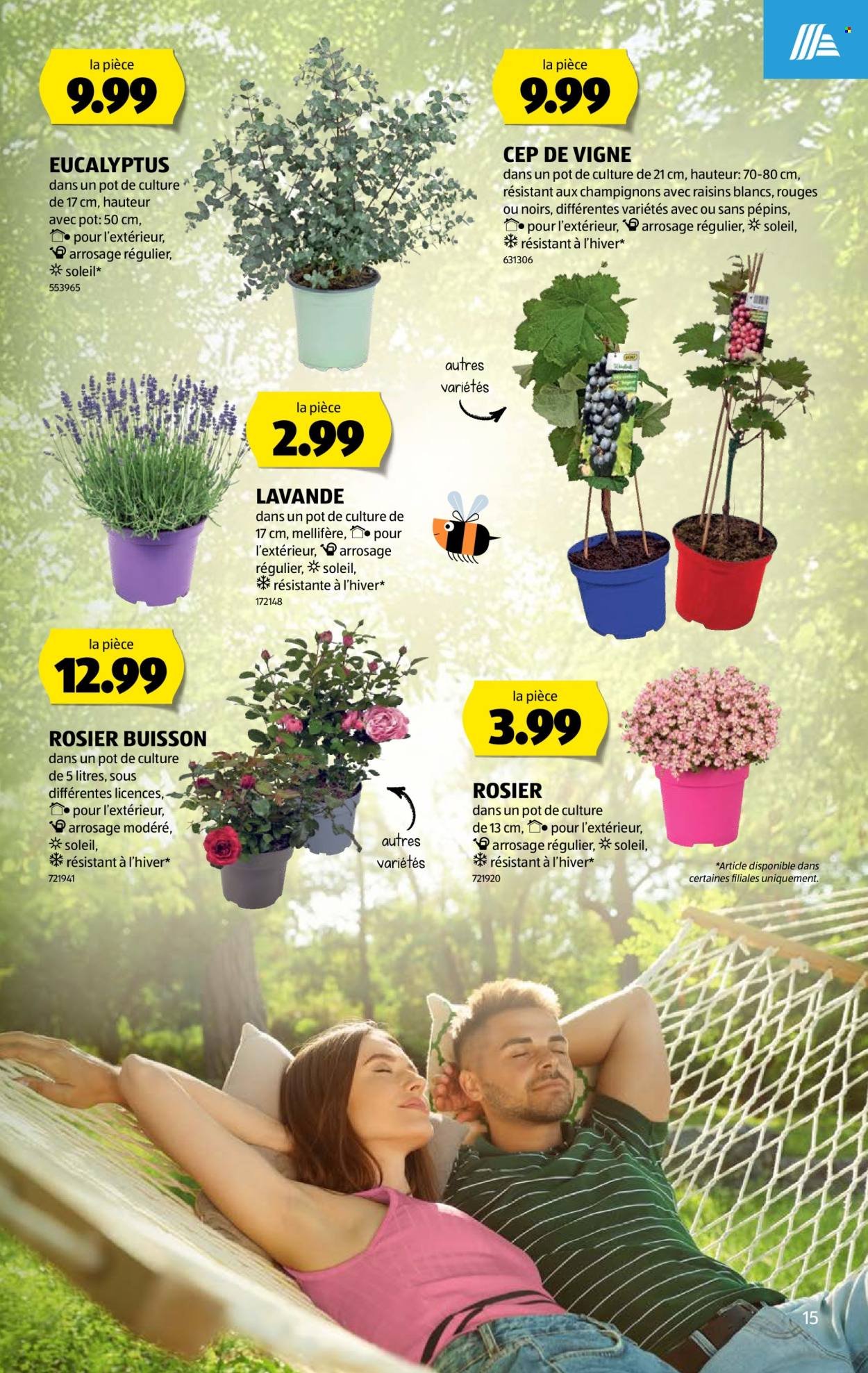 ALDI Prospekt - Vom 18.6.2026