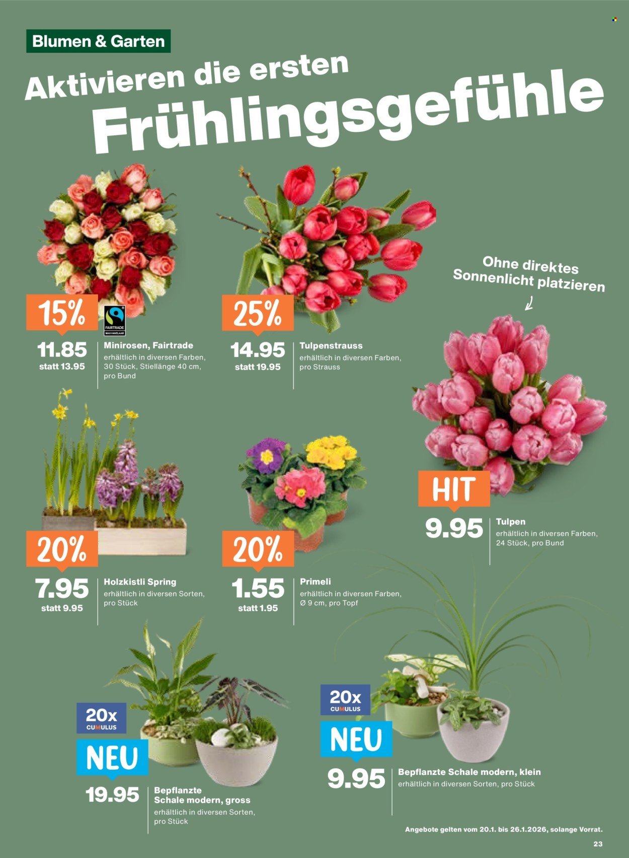 MIGROS Prospekt - Vom 20.1.2026 (2026-01-20 - 2026-01-26) | 23